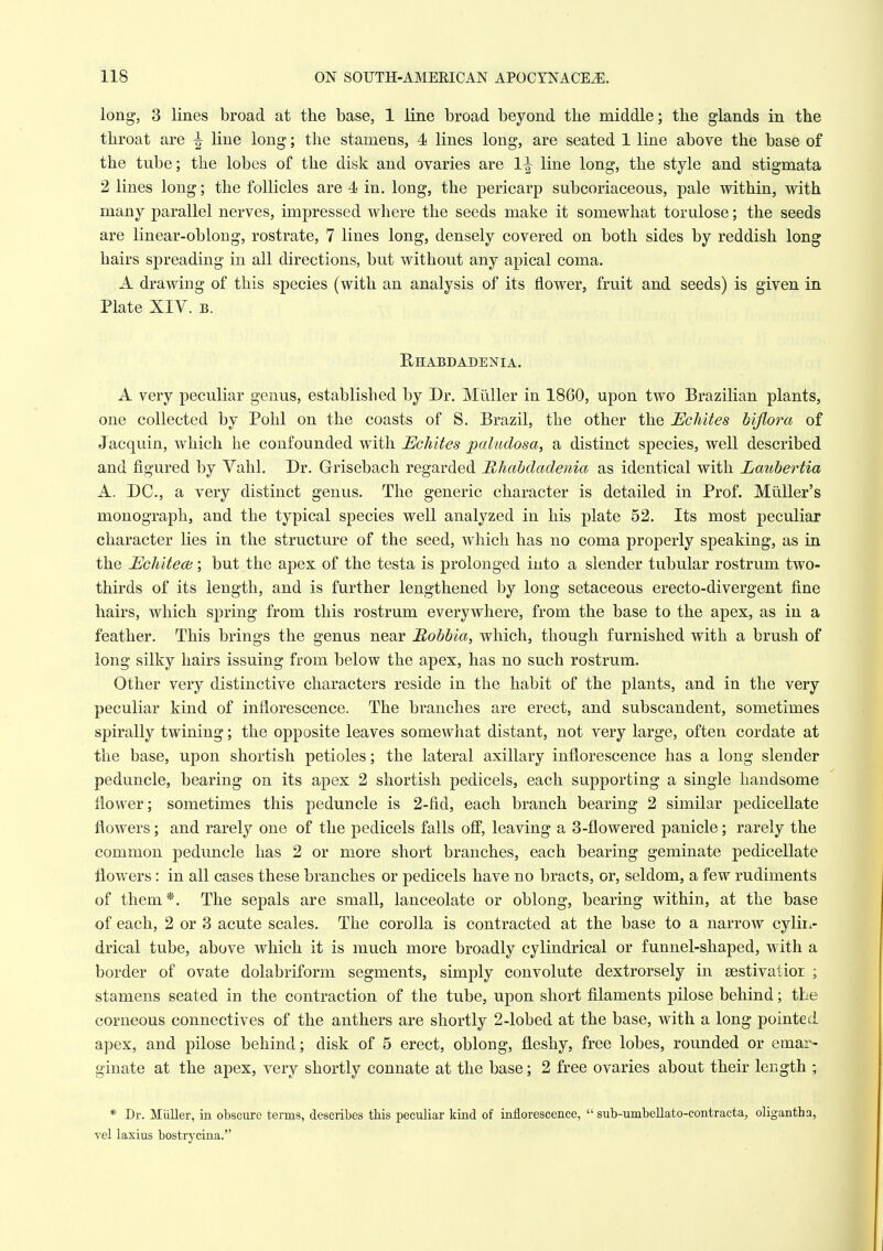 long, 3 lines broad at the base, 1 line broad beyond the middle; the glands in the throat are ^ line long; the stamens, 4 lines long, are seated 1 line above the base of the tube; the lobes of the disk and ovaries are 1^ line long, the style and stigmata 2 lines long; the follicles are 4 in. long, the pericarp subcoriaceous, pale within, with many parallel nerves, impressed where the seeds make it somewhat torulose; the seeds are linear-oblong, rostrate, 7 lines long, densely covered on both sides by reddish long hairs spreading in all directions, but without any apical coma. A drawing of this species (with an analysis of its flower, fruit and seeds) is given in Plate XIV. B. Ehabdadenia. A very peculiar genus, established by Dr. MiiUer in 1860, upon two Brazilian plants, one collected by Pohl on the coasts of S. Brazil, the other the Echites bijiora of Jacquin, which he confounded with Echites paludosa, a distinct species, well described and figured by Vahl. Dr. Grisebach regarded Rhahdadenia as identical with Laubertia A. DC, a very distinct genus. The generic character is detailed in Prof. Miiller's monograph, and the typical species well analyzed in his plate 52. Its most peculiar character lies in the structure of the seed, which has no coma properly speaking, as in the Echitecb; but the apex of the testa is prolonged into a slender tubular rostrum two- thirds of its length, and is further lengthened by long setaceous erecto-divergent fine hairs, which spring from this rostrum everywhere, from the base to the apex, as in a feather. This brings the genus near Robbia, which, though furnished with a brush of long silky hairs issuing from below the apex, has no such rostrum. Other very distinctive characters reside in the habit of the plants, and in the very peculiar kind of inflorescence. The branches are erect, and subscaudent, sometimes spirally twining; the opposite leaves somewhat distant, not very large, often cordate at the base, upon shortish petioles; the lateral axillary inflorescence has a long slender peduncle, bearing on its apex 2 shortish pedicels, each supporting a single handsome flower; sometimes this peduncle is 2-fid, each branch bearing 2 similar pedicellate flowers; and rarely one of the pedicels falls off, leaving a 3-flowered panicle; rarely the common peduncle has 2 or more short branches, each bearing geminate pedicellate flowers : in all cases these branches or pedicels have no bracts, or, seldom, a few rudiments of them *. The sepals are small, lanceolate or oblong, bearing within, at the base of each, 2 or 3 acute scales. The corolla is contracted at the base to a narrow cyliii- drical tube, above which it is much more broadly cylindrical or funnel-shaped, with a border of ovate dolabriform segments, simply convolute dextrorsely in sestivatior ; stamens seated in the contraction of the tube, upon short filaments pilose behind; tLe corneous connectives of the anthers are shortly 2-lobed at the base, with a long pointed apex, and pilose behind; disk of 5 erect, oblong, fleshy, free lobes, rounded or emar- ginate at the apex, very shortly connate at the base; 2 free ovaries about their length ; * Dr. Miiller, in obscure terms, describes this peculiar kind of inflorescence,  sub-umbenato-contracta, oligantha, vel laxius bostrycina,