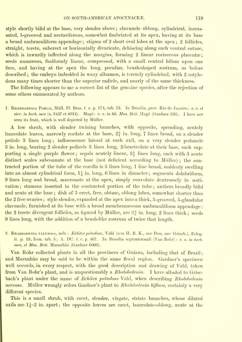 style shortly bifid at the base, very slender above; clavuncle oblong, cyKndrical, incras- sated, 5-grooved and nectariferous, somewhat fimbriated at its apex, having at its base a broad umbraculiform appendage; stigma of 2 short oval lobes at the apex; 2 follicles, straight, terete, suberect or horizontally divaricate, dehiscing along each ventral suture, which is inwardly inflected along the margins, forming 2 linear coriaceous placentae; seeds numerous, fusiformly linear, compressed, with a small central hilum upon one face, and having at the apex the long, peculiar, brush-shaped rostrum, as before described; the embryo imbedded in waxy albumen, is teretely cylindrical, with 2 cotyle- dons many times shorter than the superior radicle, and nearly of the same thickness. The following appears to me a correct list of the genuine species, after the rejection of some others enumerated by authors. 1. E.HABDADENIA PoHLii, MiiU. Fl. Bras. t. c. p. 174, tab. 52. In Brasilia, prov. Rio de Janeiro: v. v. et sice, in herb, meo (n. 34'37et4024). Mage: v. s. in hb. Mus. Brit. Mage (Gardner 536). I have not seen its fruit, whicli is well depicted by Miiller. A low shrub, with slender twining branches, with opposite, spreading, acutely lanceolate leaves, narrowly cordate at the base, 2f in. long, 7 lines broad, on a slender petiole 3 lines long; inflorescence lateral at each axil, on a very slender peduncle 3 in. long, bearing 2 slender pedicels 3 lines long, 2-bracteolate at their base, each sup- porting a single purple flower; sepals acutely linear, 3^ lines long, each with 3 acute distinct scales subconnate at the base (not deficient according to Miiller) ; the con- tracted portion of the tube of the corolla is 5 lines long, 1 line broad, suddenly swelling into an almost cylindrical form, 1^ in. long, 6 lines in diameter; segments dolabriform, 9 lines long and broad, mu^cronate at the apex, simply convolute dextrorsely in [esti- vation ; stamens inserted in the contracted portion of the tube; anthers broadly bifid and acute at the base ; disk of 5 erect, free, obtuse, oblong lobes, somewhat shorter than the 2 free ovaries ; style slender, expanded at the apex into a thick, 5-grooved, 5-glandular clavuncle, furnished at its base with a broad membranaceous umbraculiform appendage: the 2 terete divergent follicles, as figured by Miiller, are 3f in. long, 2 lines thick; seeds 9 lines long, with the addition of a brush-like rostrum of twice that length. 2. Rhabdadenia paludosa, nob. : EcMtespaludosa, Valil (non H. B. K., nec Don, ncc Griseb.), Eelog. ii. p. 19, Icon. tab. 5; A. DC. /. c. p. 467. In Brasilia septentrionali (Van Rolir) : v. s. in herb, meo, et Mus. Brit. Maranhao (Gardner 6060). Van Kohr collected plants in all the provinces of Guiana, including that of Brazil; and Maranhao may be said to be within the same floral region. Gardner's specimen well accords, in every respect, with the good description and drawing of Valil, taken from Van Rohr's plant, and is unquestionably a Rhabdadenia. I have alluded to Grise- bach's plant under the name of Echites paludosa Vahl, when describing Rhabdadenia nervosa. Miiller wrongly refers Gardner's plant to Rhabdadenia hijlora, certainly a very different species. This is a small shrub, with erect, slender, virgate, striate branches, whose dilated axils are lj-2 in. apart; the opposite leaves are erect, lanceolate-oblong, acute at the