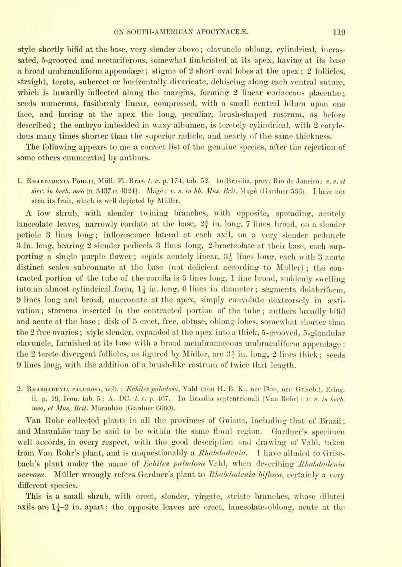 style shortly bifid at the base, very slender above; clavuncle oblong, cylindrical, incras- sated, 5-grooved and nectariferous, somewhat fimbriated at its apex, having at its base a broad umbraculiform appendage; stigma of 2 short oval lobes at the apex; 2 follicles, straight, terete, suberect or horizontally divaricate, dehiscing along each ventral suture, which is inwardly inflected along the margins, forming 2 linear coriaceous placentae; seeds numerous, fusiformly linear, compressed, with a small Central hilum upon one face, and having at the apex the long, peculiar, brush-shaped rostrum, as before described ; the embryo imbedded in waxy albumen, is teretely cylindrical, with 2 cotyle- dons many times shorter than the superior radicle, and nearly of the same thickness. The following appears to me a correct list of the genuine species, after the rejection of some others enumerated by authors. 1. Ehabdadenia Pohlii, Miill. Fl. Bras. t. c. p. 174, tab. 52. In Brasilia, prov. Rio de Janeiro: v. v. et sice, in herb, meo (n. 3437 et 4024). Mage : v. s. in hh. Mus. Brit. Mage (Gardner 536). I have not seen its fruit, which is well depicted by Miiller. A low shrub, with slender twining branches, with opposite, spreading, acutely lanceolate leaves, narrowly cordate at the base, 2f in. long, 7 lines broad, on a slender petiole 3 lines long; inflorescence lateral at each axil, on a very slender peduncle 3 in. long, bearing 2 slender pedicels 3 lines long, 2-bracteolate at their base, each sup- porting a single purple flower; sepals acutely linear, 3^ lines long, each with 3 acute distinct scales subconnate at the base (not deficient according to Miiller) ; the con- tracted portion of the tube of the corolla is 5 lines long, 1 line broad, suddenly swelling into an almost cylindrical form, 1^ in. long, 6 lines in diameter; segments dolabriform, 9 lines long and broad, mucronate at the apex, simply convolute dextrorsely in aesti- vation ; stamens inserted in the contracted portion of the tube; anthers broadly bifid and acute at the base ; disk of 5 erect, free, obtuse, oblong lobes, somewhat shorter than the 2 free ovaries ; style slender, expanded at the apex into a thick, 5-grooA^ed, 5-glandular clavuncle, furnished at its base with a broad membranaceous umbraculiform appendage : the 2 terete divergent follicles, as figured by Miiller, are 3f in, long, 2 lines thick; seeds 9 lines long, with the addition of a brush-like rostrum of twice that length. 2. Rhabdadenia paludosa, nob. : Echitespaludosa, Vahl (non 11. B. K., nec Don, nec Griseb.), Eclog. ii. p. 19, Icon. tab. 5; A. DC. I. c. p. 467. In Brasilia septentrionali (Van Rolir) : v. s. in herb, meo, et Mus. Brit. Maranhao (Gardner 6060). Van Rohr collected plants in all the provinces of Guiana, including that of Brazil; and Maranhao may be said to be within the same floral region. Gardner's specimen well accords, in every respect, with the good description and drawing of Vahl, taken from Van Rohr's plant, and is unquestionably a Rhabdadeiiia. I have alluded to Grise- bach's plant under the name of Echites paludosa Vahl, when describing Bhabdadenia nervosa. Miiller wrongly refers Gardner's plant to Rhabdadenia bijlora, certainly a very different species. This is a small shrub, with erect, slender, virgate, striate branches, whose dilated axils are l|-2 in. apart; the opposite leaves are erect, lanceolate-oblong, acute at the