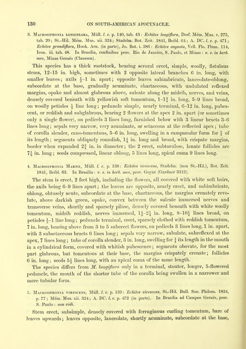 3. Macrosiphonia longiflora, Miill. /. c. p. 140, tab. 43: Echites longiflora, Desf. Mem, Mus. v. 275, tab. 20; St.-Hil. Mem. Mus. xii. 324; Stadelm. Bot. Zeit. 1841, Beibl. 64; A, DC. /, c. p. 471; Echites grandiflora, Hook. Arn. (in parte), Jo. Bot. i. 286 : Echites augusta, Veil. Flo. Flum. 114, Icon. iii. tab. 48. In Brasilia, confinibus prov. Rio de Janeiro, S. Paulo, et Minas : v. s. in herb, meo, Minas Geraes (Claussen). This species has a thick rootstock, bearing several erect, simple, woolly, fistulous stems, 12-15 in. high, sometimes with 2 opposite lateral branches 6 in. long, with smaller leaves; axils ^-1 in. apart; opposite leaves subimbricate, lanceolate-oblong, subcordate at the base, gradually acuminate, chartaceous, with undulated reflexed margins, opake and almost glabrous above, sulcate along the midrib, nerves, and veins, densely covered beneath with yellowish soft tomentum, 1-lf in. long, 5-9 lines broad, on woolly petioles \ line long; peduncle simple, nearly terminal, 6-12 in. long, pubes- cent, or reddish and subglabrous, bearing 2 flowers at the apex 2 in. apart (or sometimes only a single flower), on pedicels 8 lines long, furnished below with 3 linear bracts 3-6 lines long; sepals very narrow, very acuminate, or setaceous at the reflected apex; tube of corolla slender, cano-tomentous, 5-6 in. long, swelling in a campanular form for \ of its length; segments obliquely roundish, 1^ in. long and broad, with crispate margins, border when expanded 2f in. in diameter; the 2 erect, subtorulose, lanate follicles are 7^^ in. long; seeds compressed, linear oblong, 5 lines long, apical coma 9 lines long. 4. Macrosiphonia Martii, Miill. c. p. 138: Echites virescens, Stadelm. (non St.-Hil.), Bot. Zeit. 1841, Beibl. 63. In Brasilia: v. s. in herb, meo, prov. Goyaz (Gardner 3312). The stem is erect, 2 feet high, including the flowers, all covered with white soft hairs, the axils being 6-9 lines apart; the leaves are opposite, nearly erect, and subimbricate, oblong, obtusely acute, subcordate at the base, chartaceous, the margins crenately revo- lute, above darkish green, opake, convex between the sulcate immersed nerves and transverse veins, shortly and sparsely pilose, densely covered beneath with white woolly tomentum, midrib reddish, nerves immersed, 1^-21^ in. long, 8-10^ lines broad, on petioles ^-1 line long; peduncle terminal, erect, sparsely clothed with reddish tomentum, 7 in. long, bearing above from 3 to 5 suberect flowers, on pedicels 3 lines long, 1 in. apart, with 3 subsetaceous bracts 6 lines long; sepals very narrow, subulate, subreflexed at the apex, 7 lines long; tube of corolla slender, 3 in. long, swelling for | its length in the mouth in a cylindrical form, covered with whitish pubescence; segments obovate, for the most part glabrous, but tomentous at their base, the margins crispately crenate; follicles 6 in. long; seeds 5J lines long, with an apical coma of the same length. The species differs from M. longiflora only in a terminal, stouter, longer, 5-flowered peduncle, the mouth of the shorter tube of the corolla being swollen in a narrower and more tubular form. 5. Macrosiphonia virescens, Miill. I. c. p. 139: Echites virescens, St.-Hil. Bull. Soc. Philom. 1824, p. 77; Mem. Mus. xii. 324; A. DC. /. c. p. 472 (in parte). In Brasilia ad Campos Geraes, prov. S. Paulo : non vidi. Stem erect, subsimple, densely covered with ferruginous curling tomentum, bare of leaves upw^ards; leaves opposite, lanceolate, shortly acuminate, subcordate at the base.