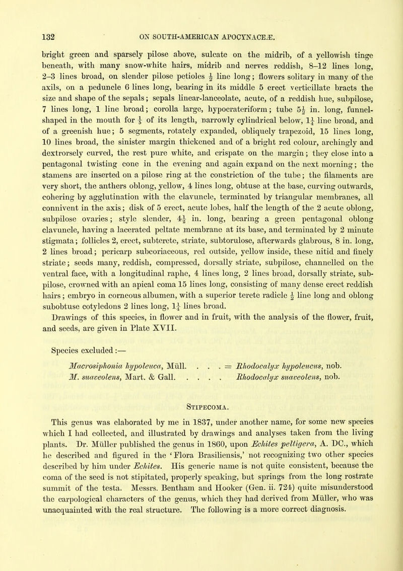 bright green and sparsely pilose above, sulcate on the midrib, of a yellowish tinge beneath, with many snow-white hairs, midrib and nerves reddish, 8-12 lines long, 2-3 lines broad, on slender pilose petioles ^ line long; flowers solitary in many of the axils, on a peduncle 6 lines long, bearing in its middle 5 erect verticillate bracts the size and shape of the sepals; sepals linear-lanceolate, acute, of a reddish hue, subpilose, 7 Knes long, 1 line broad; corolla large, hypocrateriform; tube 5^ in. long, funnel- shaped in the mouth for | of its length, narrowly cylindrical below, 1^ line broad, and of a greenish hue; 5 segments, rotately expanded, obliquely trapezoid, 15 lines long, 10 lines broad, the sinister margin thickened and of a bright red colour, archingly and dextrorsely curved, the rest pure white, and crispate on the margin; they close into a pentagonal twisting cone in the evening and again expand on the next morning; the stamens are inserted on a pilose ring at the constriction of the tube; the filaments are very short, the anthers oblong, yellow, 4 lines long, obtuse at the base, curving outwards, cohering by agglutination with the clavuncle, terminated by triangular membranes, all connivent in the axis; disk of 5 erect, acute lobes, half the length of the 2 acute oblong, subpilose ovaries; style slender, 4*^ in. long, bearing a green pentagonal oblong clavuncle, having a lacerated peltate membrane at its base, and terminated by 2 minute stigmata; follicles 2, erect, subterete, striate, subtorulose, afterwards glabrous, 8 in. long, 2 lines broad; pericarp subcoriaceous, red outside, yellow inside, these nitid and finely striate; seeds many, reddish, compressed, dorsally striate, subpilose, channelled on the ventral face, with a longitudinal raphe, 4 lines long, 2 lines broad, dorsally striate, sub- pilose, crowned with an apical coma 15 lines long, consisting of many dense erect reddish hairs; embryo in corneous albumen, with a superior terete radicle ^ line long and oblong subobtuse cotyledons 2 lines long, 1^ lines broad. Drawings of this species, in flower and in fruit, with the analysis of the flower, fruit, and seeds, are given in Plate XVII. Species excluded:— Macrosiphonia hypoleuca, MiilL . , = Rhodocalyx liypoleucus^ nob. M. maveolens, Mart. & Uall. .... Bhodocalyx suaveolens, nob. Stipecoma. This genus was elaborated by me in 1837, under another name, for some new species which I had collected, and illustrated by drawings and analyses taken from the living plants. Dr. Miiller published the genus in 1860, upon EcMtes peltigera, A. DC., which he described and figured in the ' Elora Brasiliensis,' not recognizing two other species described by him under Echites. His generic name is not quite consistent, because the coma of the seed is not stipitated, properly speaking, but springs from the long rostrate summit of the testa. Messrs. Bentham and Hooker (Gen. ii. 724) quite misunderstood the carpological characters of the genus, which they had derived from Miiller, who was unacquainted with the real structure. The following is a more correct diagnosis.