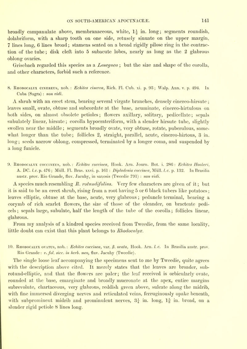 broadly campanulate above, membranaceous, white, 1^ in. long; segments roundish, dolabriform, with a sharp tooth on one side, retusely sinuate on the upper margin, 7 lines long, 6 lines broad; stamens seated on a broad rigidly pilose ring in the contrac- tion of the tube; disk cleft into 5 subacute lobes, nearly as long as the 2 glabrous oblong ovaries. Grisebach regarded this species as a Laseguea ; but the size and shape of the corolla, and other characters, forbid such a reference. 8. Rhodocalyx cinereus, nob. : Echites cinerea, Rich. Fl. Cub. xi. p. 93; Walp. Ann. v. p. 494. In Cuba (Sagra) : non vidi. A shrub with an erect stem, bearing several virgate branches, densely cinereo-hirsute; leaves small, ovate, obtuse and subcordate at the base, acuminate, cinereo-hirtulous on both sides, on almost obsolete petioles; flowers axillary, solitary, pedicellate; sepals subulately linear, hirsute; corolla hypocrateriform, with a slender hirsute tube, slightly swollen near the middle; segments broadly ovate, very obtuse, rotate, puberulous, some- what longer than the tube; follicles 2, straight, parallel, acute, cinereo-hirtous, 3 in. long; seeds narrow oblong, compressed, terminated by a longer coma, and suspended by a long funicle. 9. Rhodocalyx coccineus, nob.: Echites coccmea, Hook. Arn. Journ. Bot. i. 286 : Echites Hookeri, A. DC. /.c. p.476; Miill. M. Bras. xxvi. p. 161 : Dipladenia coccmea, Miill. I.e. p. 132. In Brasilia austr. prov. Rio Grande, fluv. Jacuhy, in saxosis (Tweedie 791) : non vidi. A species much resembling H. rotundifolius. Very few characters are given of it; but it is said to be an erect shrub, rising from a root having 5 or 6 black tubers like potatoes; leaves elliptic, obtuse at the base, acute, very glabrous; peduncle terminal, bearing a corymb of rich scarlet flowers, the size of those of the oleander, on bracteate pedi- cels ; sepals large, subulate, half the length of the tube of the corolla; follicles linear, glabrous. From my analysis of a kindred species received from Tweedie, from the same locality, little doubt can exist that this plant belongs to Bhodocalyx. 10. Rhodocalyx ovatus, nob.: Echites coccinea, var. /3. ovata, Hook. Arn. /. c. In Brasilia austr. prov. Rio Grande: v.fol. sice, in herb, meo, fluv. Jacuhy (Tweedie). The single loose leaf accomj^anying the specimens sent to me by Tweedie, quite agrees with the description above cited. It merely states that the leaves are broader, sub- rotund-elliptic, and that the flowers are paler; the leaf received is orbicularly ovate, rounded at the base, emarginate and broadly mucronate at the apex, entire margins subrevolute, cliartaceous, very glabrous, reddish green above, sulcate along the midrib, with fine immersed diverging nerves and reticulated veins, ferruginously opake beneath, with subpromineut midrib and prominulent nerves, 3^ in. long. If in. broad, on a slender rigid petiole 8 lines long.