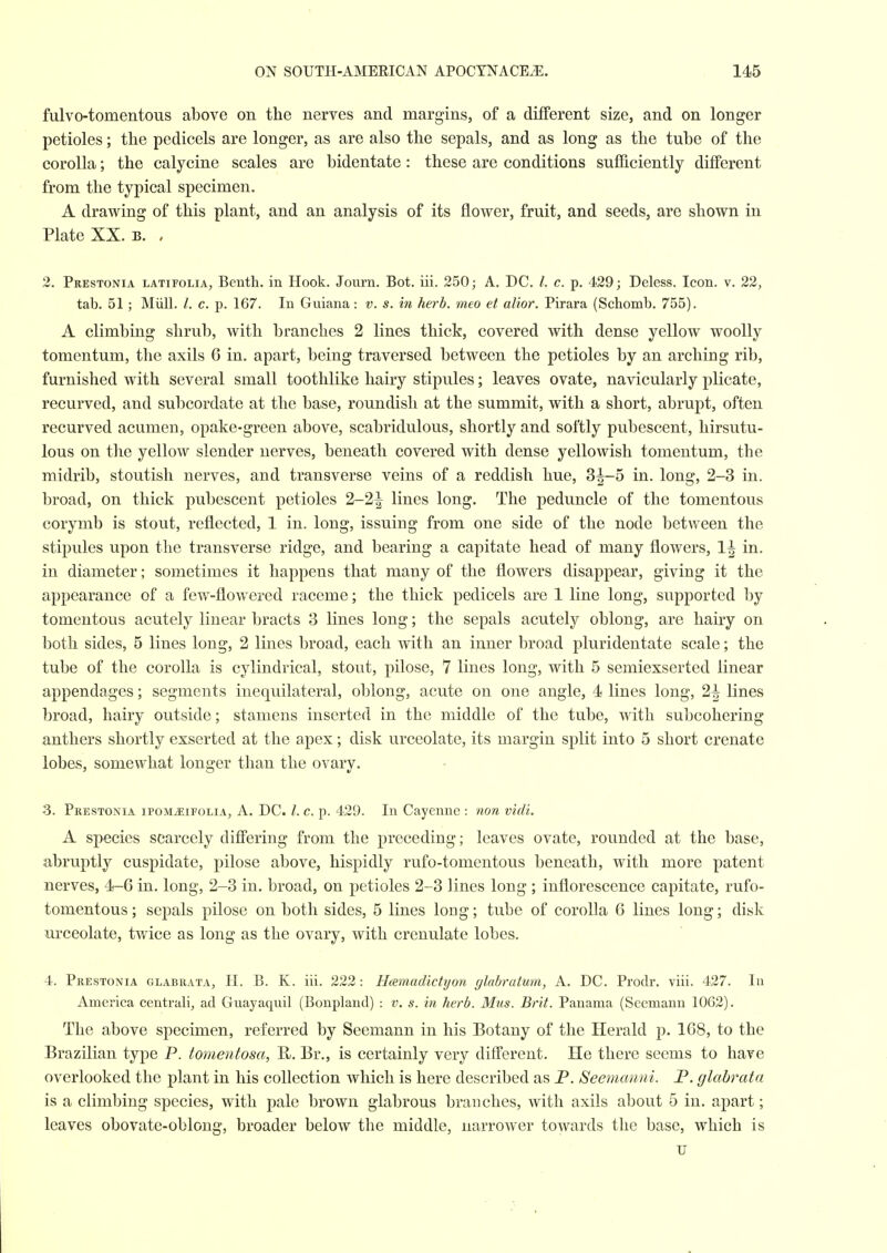 fulvo-tomentous above on the nerves and margins, of a different size, and on longer petioles; the pedicels are longer, as are also the sepals, and as long as the tube of the corolla; the calycine scales are bidentate : these are conditions sufficiently different from the typical specimen. A drawing of this plant, and an analysis of its flower, fruit, and seeds, are shown in Plate XX. B. , 3. Prestonia latifolia, Bcnth. in Hook. Journ. Bot. iii. 250; A. DC. /. c. p. 429; Deless. Icon. v. 22, tab. 51 ; Miill. /. c. p. 167. In Guiana : v. s. in herb, meo et alior. Pirara (Schomb. 755). A climbing shrub, with branches 2 lines thick, covered with dense yellow woolly tomentum, the axils 6 in. apart, being traversed between the petioles by an arching rib, furnished with several small toothlike hairy stipules; leaves ovate, navicularly plicate, recurved, and subcordate at the base, roundish at the summit, with a short, abrupt, often recurved acumen, opake-green above, scabridulous, shortly and softly pubescent, liirsutu- lous on the yellow slender nerves, beneath covered with dense yellowish tomentum, the midrib, stoutish nerves, and transverse veins of a reddish hue, 3^-5 in. long, 2-3 in. broad, on thick pubescent petioles 2-2^ lines long. The peduncle of the tomentous corymb is stout, reflected, 1 in. long, issuing from one side of the node between the stipules upon the transverse ridge, and bearing a capitate head of many flowers, 1^ in. in diameter; sometimes it happens that many of the flowers disappear, giving it the appearance of a few-flowered raceme; the thick pedicels are 1 line long, supported l3y tomentous acutely linear bracts 3 lines long; the sepals acutely oblong, are hairy on both sides, 5 lines long, 2 lines broad, each with an inner broad pluridentate scale; the tube of the corolla is cylindrical, stout, pilose, 7 lines long, with 5 semiexserted linear appendages; segments inequilateral, oblong, acute on one angle, 4 lines long, 2^ lines broad, hairy outside; stamens inserted in the middle of the tube, with subcohering anthers shortly exserted at the apex; disk urceolate, its margin split into 5 short crenate lobes, somewhat longer tlian the ovary. -3. Prestonia ipom^ifolia, A. DC. /. c. p. 429. In Cayenne : non vidi. A species scarcely differing from the preceding; leaves ovate, rounded at the base, abruptly cuspidate, pilose above, hispidly rufo-tomentous beneath, with more patent nerves, 4-6 in. long, 2-3 in. broad, on petioles 2-3 lines long ; inflorescence capitate, rufo- tomentous ; sepals pilose on both sides, 5 lines long; tube of corolla 6 lines long; disk urceolate, twice as long as the ovary, with crenulate lobes. 4. Prestonia glabrata, H. B. K. iii. 222: Hcamadictijon glahralum, A. DC. Prodr. viii. 427. In America centrali, ad Guayaquil (Bonpland) : v. s. in herb. Mus. Brit. Panama (Seemann 1062). The above specimen, referred by Seemann in his Botany of the Herald p. 1C8, to the Brazilian type P. tomentosa, B. Br., is certainly very different. He there seems to have overlooked the plant in his collection which is here described as P. Seemcmni. P. glabrata is a climbing species, with pale brown glabrous branches, with axils about 5 in. apart; leaves obovate-oblong, broader below the middle, narrower towards the base, which is u