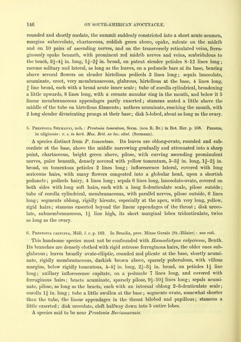 rounded and shortly cordate, the summit suddenly constricted into a short acute acumen, margins subrevolute, chartaceous, reddish green above, opake, sulcate on the midrib and on 10 pairs of ascending nerves, and on the transversely reticulated veins, ferru- ginously opake beneath, with prominent red midrib nerves and veins, scabridulous to the touch, 31-4^ in. long, 1|-2| in. broad, on patent slender petioles 8-12 lines long; raceme solitary and lateral, as long as the leaves, on a peduncle bare at its base, bearing above several flowers on slender hirtellous pedicels 3 lines long; sepals lanceolate,, acuminate, erect, very membranaceous, glabrous, hirtellous at the base, 4 lines long, f line broad, each with a broad acute inner scale; tube of corolla cylindrical, broadening a little upwards, 8 lines long, with a crenate annular ring in the mouth, and below it 5 linear membranaceous appendages partly exserted; stamens seated a little above the middle of the tube on hirtellous filaments; anthers acuminate, reaching the mouth, with 2 long slender divaricating prongs at their base; disk 5-lobed, about as long as the ovary. 5. Prestonia Seemanni, nob.: Prestonia tomentosa, Seem, (non R. Br.) in Bot. Her. p. 168. Panama, ia uliginosis: v. s. in herb. Mus. Brit, ex loc. citat. (Seemann). A species distinct from P. tomentosa. Its leaves are oblong-ovate, rounded and sub- cordate at the base, above the middle narrowing gradually and attenuated into a sharp point, chartaceous, bright green above, pilose, with curving ascending prominulent nerves, paler beneath, densely covered with yellow tomentum, 5-3f in. long, lf-2| in. broad, on tomentous petioles 2 lines long; inflorescence lateral, covered with long sericeous hairs, with many flowers congested into a globular head, upon a shortish peduncle; pedicels hairy, 4 lines long; sepals 6 lines long, lanceolate-ovate, covered on both sides with long soft hairs, each with a long 3-denticulate scale, pilose outside; tube of corolla cylindrical, membranaceous, with parallel nerves, pilose outside, 6 lines long; segments oblong, rigidly hirsute, especially at the apex, with very long, yellow, rigid hairs; stamens exserted beyond the linear appendages of the throat; disk urceo- late, submembranaceous, 1^ line high, its short marginal lobes tridenticulate, twice as long as the ovary. 6. Prestonia calycina, Miill. /. c. p. 162. In Brasilia, prov. Minas Geraes (St.-Hilaire) : non vidi. This handsome species must not be confounded with Scemadictyon calycinum, Benth. Its branches are densely clothed with rigid retrorse ferruginous hairs, the older ones sub- glabrous ; leaves broadly ovate-elliptic, rounded and plicate at the base, shortly acumi- nate, rigidly membranaceous, darkish brown above, sparsely puberulous, with villous margins, below rigidly tomentous, 4-4f in. long, 2^3^ in. broad, on petioles 1| line long; axillary inflorescence capitate, on a peduncle 7 lines long, and covered with ferruginous hairs; bracts acuminate, sparsely pilose, 9|^-10^ lines long; sepals acumi- nate, pilose, as long as the bracts, each with an internal oblong 2-3-denticulate scale; coroUa 1^ in. long ; tube a little swollen at the base; segments ovate, somewhat shorter than the tube, the linear appendages in the throat bilobed and papillous; stamens a little exserted; disk urceolate, cleft halfway down into 5 entire lobes. A species said to be near Prestonia Surinamensis.