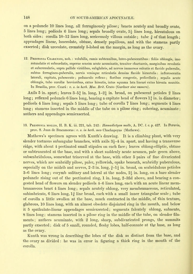 on a peduncle 10 lines long, all ferruginously pilose; bracts acutely and broadly ovate, 5 lines long; pedicels 6 lines long; sepals broadly ovate, 5^ lines long, hirsutulous on both sides; corolla 10-12 lines long, sericeously villous outside; tube | of that length; appendages linear, lanceolate, obtuse, densely papillous, and with the stamens partly exserted; disk urceolate, crenately 5-lobed on the margin, as long as the ovary. 12. Prestonia Cearensis, nob.: volubilis, ramis subtemiibus, luteo-pubescentibus: foliis oblongis, imo rotundatis et subcordatis, superne sensim acute acuminatis, tenuiter chartaceis, marginibus revolutis et subcrenulatis, supra pallide viridibuSj subglabris^ ad nervos immersos sulcatis et flavide puberubs, subtus ferrugmeo-puberulis, nervis venisque reticulatis densius flavide birsutubs : inflorescentia laterab, capitata, pubescente; pedunculo reflexo; floribus congestis, pedicellatis; sepabs acute oblongis, tubo coroUse brevioribus, extus hirsutis, intus squama lata lineari extus hirsuta munitis. In Brasibaj prov. Ceara: v. s. in herb. Mus. Brit. Crato (Gardner sine numero). Axils 5 in. apart; leaves 3-5f in. long, 1-2j in. broad, on pubescent petioles 2 lines long; reflexed peduncle 6 lines long, bearing a capitate head of flowers If in. in diameter; pedicels 4 lines long; sepals 5 lines long; tube of corolla 7 lines long; segments 4 lines long; stamens inserted in the middle of the tube on a pilose ring; cohering, acuminate; anthers and appendages semiexserted. 13. Prestonia mollis, H. B. K. iii. 221, tab. 242: HcBmadidyon molle, A. DC. I. c. p. 427. In Peruvia, prov. S. Juan de Bracamoras: v. s. in herb, meo Chacbapoyas (Matbews). Mathews's specimen agrees with Kunth's drawing. It is a climbing plant, with very slender tortuous subangular branches, with axils 3^-4 in. apart, and having a transverse ridge, with about 4 pectinated small stipules on each face; leaves oblong-elliptic, obtuse or subtruncated at the base, and with a short suddenly acute acumen, pale green above, subscabridulous, somewhat trinerved at the base, with other 5 pairs of fine divaricated nerves, which are scabridly pilose, paler, yellowish, opake beneath, scabridly puberulous, especially on the midrib and nerves, 2-3 in. long, f-lj in. broad, on scabridulous petioles 3-6 lines long; corymb solitary and lateral at the nodes, 2^ in. long, on a bare slender pedimcle rising out of the pectinated ring, 1 in. long, 2-3fid above, and bearing a con- gested head of flowers on slender pedicels 4-6 lines long, each with an acute linear mem- branaceous bract 4 lines long; sepals acutely oblong, very membranaceous, reticulated, subimbricate, 6 lines long. If line broad, each with a small inner triangular scale; tube of corolla a Kttle swollen at the base, much contracted in the middle, of thin texture, glabrous, 10 lines long, with an almost obsolete disjointed ring in the mouth, and below it 5 spathulate-linear appendages semiexserted; segments falcately oblong, subacute, 8 lines long; stamens inserted in a pilose ring in the middle of the tube, on slender fila- ments ; anthers acuminate, with 2 long, sharp, subdivaricated prongs, the summits partly exserted; disk of 5 small, rounded, fleshy lobes, half-connate at the base, as long as the ovary. Kunth was wrong in describing the lobes of the disk as distinct from the base, and the ovary as divided : he was in error in figuring a thick ring in the mouth of the corolla.