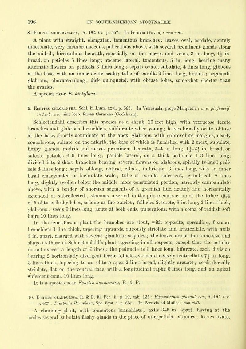 8. EcHiTES MEMBRANACEAj A. DC. I. c. p. 457. In Pemvia (Pavon) : non vidi. A plant with, straight, elongated, tomentous branches; leaves oval, cordate, acutely mucronate, very membranaceous, puberulous above, with several prominent glands along the midrib, hirsutulous beneath, especially on the nerves and veins, 3 in. long, 1^ in- broad, on petioles 5 lines long; raceme lateral, tomentous, 5 in. long, bearing many alternate flowers on pedicels 3 lines long; sepals ovate, subulate, 4 lines long, gibbous at the base, with an inner acute scale; tube of corolla 9 lines long, hirsute; segments glabrous, obovate-oblong; disk quinquefid, with obtuse lobes, somewhat shorter than the ovaries. A species near M hirtiflora. 9. EcHiTES CHLORANTHA, ScU. in Linn. xxvi. p. 663. In Venezuela, prope Maiquetia : v. s. pl.fructif. in herb, meo, sine loco, forsan Caraccas (Cockburn). Schlectendahl describes this species as a shrub, 10 feet high, with verrucose terete branches and glabrous branchlets, subhirsute when young; leaves broadly ovate, obtuse at the base, shortly acuminate at the apex, glabrous, with subrevolute margins, nearly concolorous, sulcate on the midrib, the base of which is furnished with 2 erect, subulate, fleshy glands, midrib and nerves prominent beneath, 3-4 in. long, 1^21 in. broad, on sulcate petioles 6-9 lines long; panicle lateral, on a thick peduncle 1-3 lines long, divided into 2 short branches bearing several flowers on glabrous, spirally twisted pedi- cels 4 lines long; sepals oblong, obtuse, ciliate, imbricate, 3 lines long, with an inner basal emarginated or lacinulate scale; tube of corolla rufescent, cylindrical, 8 lines long, slightly swollen below the middle more constricted portion, narrowly campanulate above, with a border of shortish segments of a greenish hue, acutely and horizontally extended or subreflected ; stamens inserted in the pilose contraction of the tube ; disk of 5 obtuse, fleshy lobes, as long as the ovaries; follicles 2, terete, 8 in. long, 2 lines thick, glabrous ; seeds 6 lines long, acute at both ends, puberulous, with a coma of reddish soft hairs 10 lines long. In the fructiferous plant the branches are stout, with opposite, spreading, flexuose branchlets 1 line thick, tapering upwards, rugously striolate and lenticellate, with axils 3 in. apart, charged with several glandular stipules ; the leaves are of the same size and shape as those of Schlectendahl's plant, agreeing in all respects, except that the petioles do not exceed a length of 6 lines; the peduncle is 3 lines long, bifurcate, each division bearing 2 horizontally divergent terete follicles, striolate, densely lenticellate, 7^ in. long, 3 lines thick, tapering to an obtuse apex 2 lines broad,, slightly arcuate ; seeds dorsally striolate, flat on the ventral face, with a longitudinal raphe 6 lines long, and an apical •fufescent coma 10 lines long. It is a species near Echites acuminata, K. & P. 10. Echites glandulosa, R. & P. Fl. Per. ii. p. 19, tab. 135 : Hcemadictyon glandulosum, A. DC. /. c. p. 427 : Prestonia Peruviana, Spr. Syst. i. p. 637. In Peruvia ad Munas : non vidi. A climbing plant, with tomentous branchlets; axils 3-5 in. apart, having at the nodes several subulate fleshy glands in the place of interpetiolar stipules; leaves ovate.