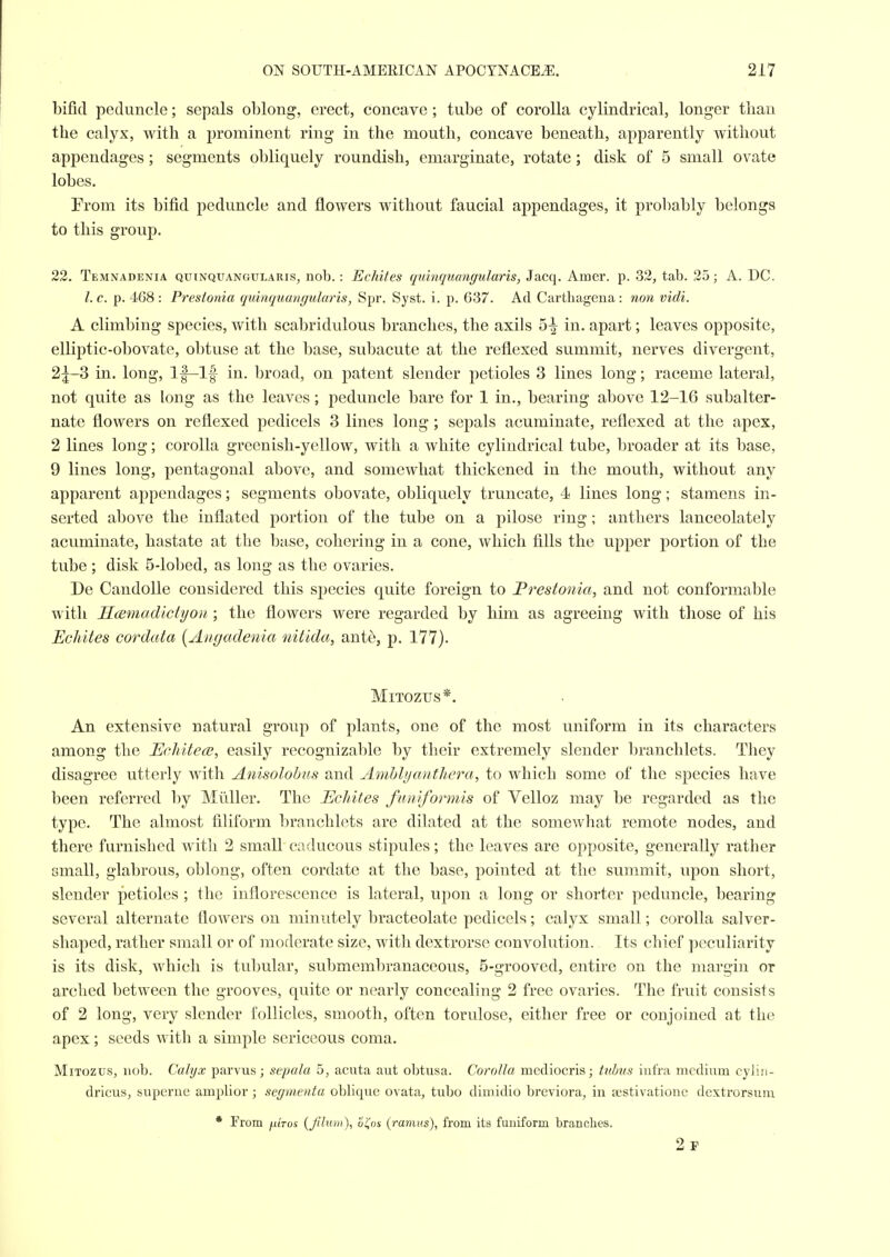 bifid peduncle; sepals oblong, erect, concave ; tube of corolla cylindrical, longer than the calyx, with a prominent ring in the mouth, concave beneath, apparently without appendages; segments obliquely roundish, emarginate, rotate; disk of 5 small ovate lobes. From its bifid peduncle and flowers without faucial appendages, it probably belongs to this group. 22. Temnadenia quinquangularis, nob. : Echites qmnquangularis, Jacq. Amer. p. 32, tab. 25; A. DC. I. c. p. 468 : Prestonia quinquangularis, Spr. Syst. i. p. 637. Acl Carthagena : non vidi. A climbing species, with scabridulous branches, the axils in. apart; leaves opposite, elliptic-obovate, obtuse at the base, suljacute at the reflexed summit, nerves divergent, 2^-3 in. long, If-lf in. broad, on patent slender petioles 3 lines long; raceme lateral, not quite as long as the leaves; peduncle bare for 1 in., bearing above 12-16 subalter- nate flowers on reflexed pedicels 3 lines long; sepals acuminate, reflexed at the apex, 2 lines long; corolla greenish-yellow, with a white cylindrical tube, broader at its base, 9 lines long, pentagonal above, and somewhat thickened in the mouth, without any apparent appendages; segments obovate, obliquely truncate, 4 lines long; stamens in- serted above the inflated portion of the tube on a pilose ring; anthers lanceolately acuminate, hastate at the base, cohering in a cone, which fills the upper portion of the tube; disk 5-lobed, as long as the ovaries. De Candolle considered this species quite foreign to Frestonia, and not conformable with ScBmadictyon; the flowers were regarded by him as agreeing with those of his Echites cordata {Angadenia nitida, ant^, p. 177). MiTOZUS*. An extensive natural group of plants, one of the most uniform in its characters among the Echitece, easily recognizable by their extremely slender branchlets. They disagree utterly with Anisolohus and Amhly anther a, to which some of the species have been referred by Miiller. The Echites fumformis of Velloz may be regarded as the type. The almost filiform branchlets are dilated at the somewhat remote nodes, and there furnished with 2 small caducous stipules; the leaves are opposite, generally rather small, glabrous, oblong, often cordate at the base, pointed at the summit, upon short, slender petioles ; the inflorescence is lateral, upon a long or shorter peduncle, bearing several alternate flowers on minutely bracteolate pedicels; calyx small; corolla salver- shaped, rather small or of moderate size, with dextrorse convolution. Its chief peculiarity is its disk, which is tubular, submembranaceous, 5-grooved, entire on the margin or arched between the grooves, quite or nearly concealing 2 free ovaries. The fruit consists of 2 long, very slender follicles, smooth, often torulose, either free or conjoined at the apex; seeds with a simple sericeous coma. MiTozus, nob. Calyx parvus; sepala 5, acuta aut obtusa. Corolla mediocris; ttibus iufra medium cylin- dricus, superne amplior; segmenta oblique ovata, tubo dimidio breviora, in aestivatione dexti'orsum • From jutVos (Jilum), ai^os (ramus), from its funiform branches. 2f