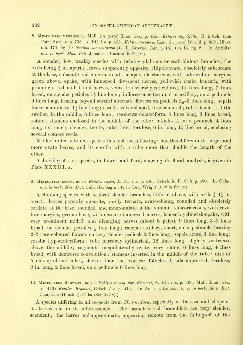 8. Mesechites myrtifoliAj Miill. (in parte) Linn. xxx. p. 445 : Echites myrtifolia, R. & Sch. (non Poir.) Syst. iv. p. 795; A, DC. /. c. p. 473 : Echites torulosa, Lam. (in parte) Diet. ii. p. 332; Illust. tab. 174. fig. 1 : Nerium sarmentosum (4), P. Browne, Jam. p. 181, tab. 16, fig. 2. In Antillis : V. s. in herb. Mus. Brit. Jamaica (Houston, in fruetu). A slender, low, weakly species with twining glabrous or scabridulous branches, the axils being f in. apart; leaves subpatently opposite, elliptic-ovate, obsoletely subcordate at the base, subacute and mucronate at the apex, chartaceous, with subrevolute margins, green above, opake, with immersed divergent nerves, yellowish opake beneath, with prominent red midrib and nerves, veins transversely reticulated, 14 lines long, 7 lines broad, on slender petioles 1^ line long; inflorescence terminal or axillary, on a peduncle 9 lines long, bearing beyond several alternate flowers on pedicels 2|^-3 lines long; sepals linear acuminate, 1^ line long; corolla salver-shaped, rose-coloured; tube slender, a little swollen in the middle, 6 lines long; segments dolabriform, 5 lines long, 3 lines broad, rotate; stamens enclosed in the middle of the tube; follicles 2, on a peduncle 4 lines long, extremely slender, terete, substriate, torulose, 6 in. long, 1^ line broad, enclosing several comose seeds. Miiller united into one species this and the following; but this differs in its larger and more ovate leaves, and its corolla with a tube more than double the length of the other. A drawing of this species, in flower and fruit, showing its floral analysis, is given in Plate XXXIII. A. 9. Mesechites rosea, nob.: Echites rosea, A. DC. I. c. p. 450; Griseb. in PI. Cub. p. 520. In Cuba: V. s. in herb. Mus. Brit. Cuba (La Sagra 142 in flore, Wright 1662 in fruetu). A climbing species with scabrid slender branches, filiform above, with axils |—1;^ in. apart; leaves patently opposite, rarely ternate, ovate-oblong, rounded and obsoletely cordate at the base, rounded and mucronulate at the summit, subcoriaceous, with revo- lute margins, green above, with obscure immersed nerves, beneath yellowish-opake, with very prominent midrib and diverging nerves (about 8 pairs), 9 lines long, 3-5 lines broad, on slender petioles ^ line long; raceme axillary, short, on a peduncle bearing 2-3 rose-coloured flowers on very slender pedicels 2 lines long; sepals acute, 1 line long; corolla hypocrateriform; tube narrowly cylindrical, 12 lines long, slightly ventricose above the middle; segments inequilaterally ovate, very rotate, 6 lines long, 4 lines broad, with dextrorse convolution; stamens inserted in the middle of the tube ; disk of 5 oblong obtuse lobes, shorter than the ovaries; follicles 2, subcompressed, torulose, 9 in. long, 2 lines broad, on a peduncle 6 lines long. 10. Mesechites Brownei, nob. : Echites torosa, var. Brownei, A. DC. /. c. p. 449; Miill. Linn. xxx. p. 446 : Echites Brownei, Griseb. /. c. p. 414. In America tropica: v. s. in herb. Mus. Brit. Campeche (Houston), Cuba (Schott 38).° A species differing in all respects from Jf. torulosa, especially in the size and shape of its leaves and in its inflorescence. The branches and branchlets are very slender, scandent; the leaves subapproximate, appearing remote from the falling-off of the