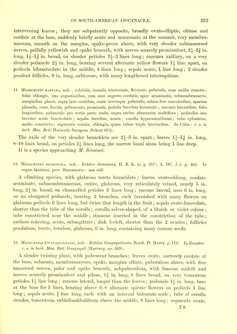 intervening leaves ; they are subpatently opposite, broadly ovate-elliptic, obtuse and cordate at the base, suddenly briefly acute and mucronate at the summit, very membra- naceous, smooth on the margins, opake-green above, with very slender subimmersed nerves, pallidly yellowish and opake beneath, with nerves scarcely prominulent, 2^2| in. long, in. broad, on slender petioles 2|--3 lines long; racemes axillary, on a very slender peduncle 2^ in. long, bearing several alternate yellow flowers 1| line apart, on pedicels bibracteolate in the middle, 4 lines long; sepals acute, 1 line long; 2 slender pendent follicles, 9 in. long, subtorose, with many lengthened interruptions. 11. Mesechites hastata, nob.: volubilis, ramulis tenuissimis, flexuosis, puberulis, cum axillis remotis ; foliis oblongis, imo angustioribus, cum sinu angusto cordatis, apice acuminatis, submembranaceis, marginibus planis, supra Isete viridibus, costa nervisque puberulis, subtus fere concoloribus, sparsim pilosulis, costa flavida, pubescente, prominula, petiolis brevibus hirsutulis ; racemis lateralibus, folio longioribus, pedunculo pro tertia parte nudo, supra crebre alternatim multifloro; pedicellis imo breviter acute bracteolatis ; sepalis brevibus, acutis ; corolla hypocrateriformi; tubo cylindrico, medio constricto; segmentis rotatis, oblongis, quam tubus triplo brevioribus. In Cuba: v. s. in herb. Mus. Brit. Hacienda Saragosa (Schott 674). The axils of the very slender branchlets are 2^-5 in. apart; leaves l^-lf in. long, 8-10 lines broad, on petioles 2^ lines long, the narrow basal sinus being 1 line deep. It is a species approaching M. Brownei. 12. Mesechites dichotoma, nob. : Echites dichotoma, H. B. K. iii. p. 217; A. DC. c. p. 465. In regno Quitensi, prov. Bracamoros : non vidi. A climbing species, with glabrous terete branchlets ; leaves ovate-oblong, cordate, acuminate, submembranaceous, entire, glabrous, very reticulately veined, nearly 5 in. long, 2^ in. broad, on channelled petioles 3 lines long; raceme lateral, near 6 in. long, on an elongated peduncle, bearing 2 branches, each furnished with many flowers on glabrous pedicels 6 lines long, 1)ut twice that length in the fruit; sepals ovate-lanceolate, shorter than the tube of the corolla; corolla salver-shaped, of a bluish or violet colour ; tube constricted near the middle; stamens inserted in the constriction of the tube; anthers cohering, acute, subsagittate; disk 5-eleft, shorter than the 2 ovaries; follicles pendulous, terete, torulose, glabrous, 6 in. long, containing many comose seeds. 13. Mesechites Guayaquilensis, nob. : Echites Guayaquilensis, Bentli. PI. Hartw. p. 119. In Ecuador : V. s. in herb. Mus. Brit. Guayaquil (Hartweg, no. 669). A slender twining plant, with pubescent branches; leaves ovate, narrowly cordate at the base, subacute, membranaceous, opake, margins ciliate, puberulous above, with fine immersed nerves, paler and opake beneath, subpuberulous, Avith fuscous midrib and nerves scarcely prominulent and pilose, If in. long, 8 lines broad, on very tomentose petioles 1^ line long ; raceme lateral, longer than the leaves; peduncle 1^ in. long, bare at the base for 3 lines, bearing above 6-8 alternate spicate flowers on pedicels 1 line long; sepals acute, f line long, each with an internal bidentate scale ; tube of corolla slender, tomentous, subinfundibuliform above the middle, 8 lines long; segments ovate, 2h