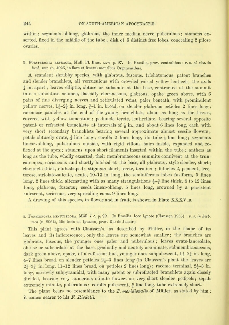 within; segments oblong, glabrous, the inner median nerve puberulous; stamens ex- serted, fixed in the middle of the tube ; disk of 5 distinct free lobes, concealing 2 pilose ovaries. 3. FoRSTEKONiA REFRACTA, Miill. Fl. Bras. xxvi. p. 97. In Brasilia, prov. centralibus: v. v. et sice, in herb, meo (n. 4026, in flore et fructu) montibus Organensibus. A scandent shrubby species, with glabrous, fuscous, trichotomous patent branches and slender branchlets, all verruculous with crowded raised yellow lenticels, the axils f in. apart; leaves elliptic, obtuse or subacute at the base, contracted at the summit into a sub obtuse acumen, flaccidly chartaceous, glabrous, opake green above, with 6 pairs of fine diverging nerves and reticulated veins, paler beneath, with prominulent yellow nerves, 1^-2J in. long, |-1 in. broad, on slender glabrous petioles 2 lines long; racemose panicles at the end of the young branchlets, about as long as the leaves, covered with yellow tomentum; peduncle terete, lenticellate, bearing several opposite patent or refracted branchlets at intervals of ^ in., and about 6 lines long, each with very short secondary branchlets bearing several approximate almost sessile flowers; petals obtusely ovate, j line long; corolla 2 lines long, its tube ^ line long; segments linear-oblong, puberulous outside, with rigid villous hairs inside, expanded and re- flexed at the apex; stamens upon short filaments inserted within the tube;. anthers as long as the tube, wholly exserted, their membranaceous summits connivent at the trun- cate apex, coriaceous and shortly bilobed at the base, all glabrous; style slender, short; clavuncle thick, club-shaped ; stigmata short, terete, terminal; follicles 2, pendent, free^ torose, striolate-sulcate, acute, 10-13 in. long, the seminiferous lobes fusiform, 5 lines long, 2 lines thick, alternating with as many strangulations ^-f line thick, 8 to 12 lines long, glabrous, fuscous; seeds linear-oblong, 5 lines long, crowned by a persistent rufescent, sericeous, very spreading coma 9 lines long. A drawing of this species, in flower and in fruit, is shown in Plate XXXV. b. 4. FoRSTERONiA MiNUTiFLORA, Miill. /. c. p. 99. In Brasilia, loco ignoto (Claussen 1955) : v. s. in herb. meo (n. 8064), filio lecto ad Iguassu, prov. Rio de Janeiro. This plant agrees with Claussen's, as described by Miiller, in the shape of its leaves and its inflorescence; only the leaves are somewhat smaller; the branches are glabrous, fuscous, the younger ones paler and puberulous; leaves ovate-lanceolate, obtuse or subcordate at the base, gradually and acutely acuminate, submembranaceous, dark green above, opake, of a rufescent hue, younger ones subpubescent, 1|-2J in. long, 4-7 lines broad, on slender petioles 2|-3 lines long (in Claussen's plant the leaves are 2;^3| in. long, 11-12 lines broad, on petioles 2 lines long); raceme terminal, 2|-3 in. long, narrowly subpyramidal, with many patent or subrefracted branchlets again closely divided, bearing very numerous minute flowers on very short slender pedicels; sepals extremely minute, puberulous ; corolla pubescent, | line long, tube extremely short. The plant bears no resemblance to the F. meridionalis of Miiller, as stated by him; it comes nearer to his F. Riedelii.