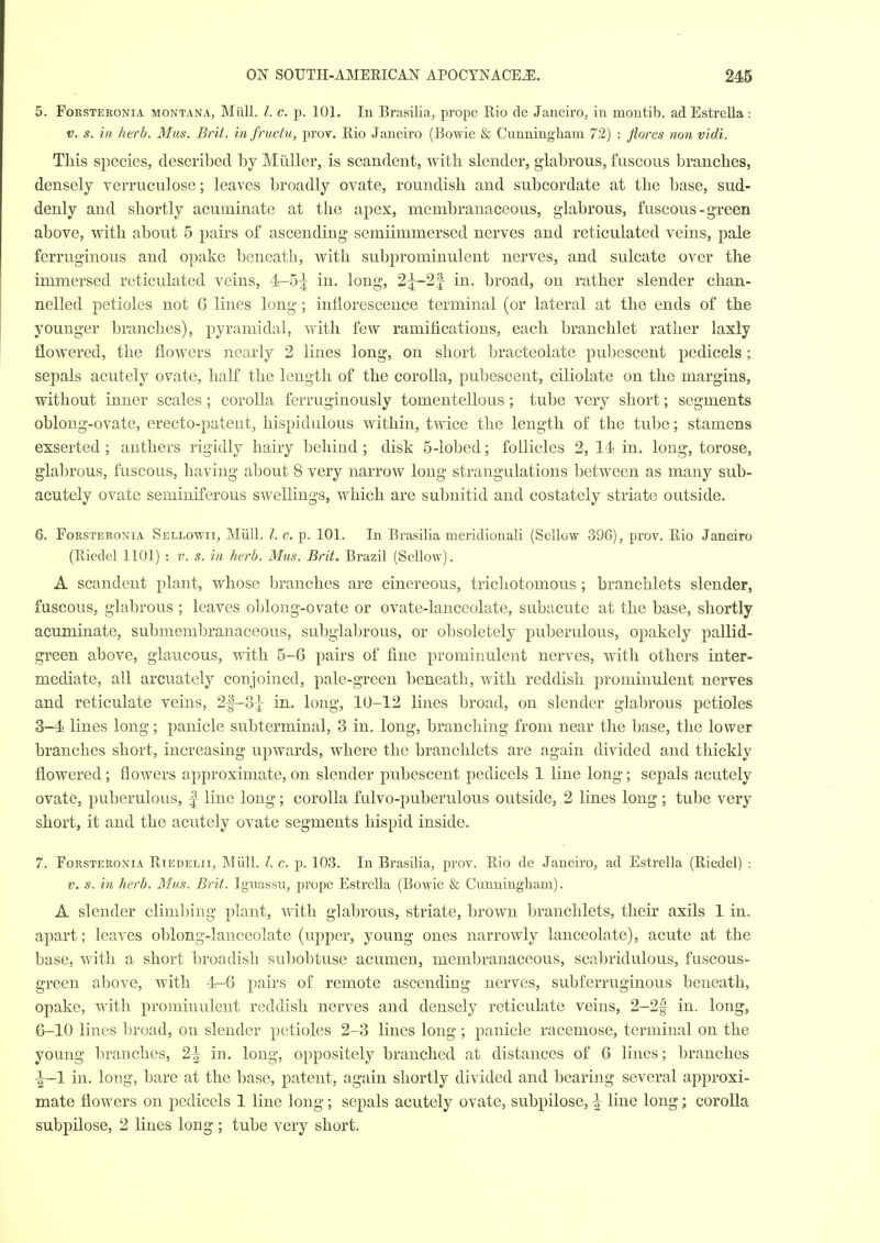 5. FoRSTERONiA MONTANA, Miill. /. c. p. 101. In Brasilia, prope Rio de Janeiro, in montib. ad EstreUa : V. s. in herb. Mus. Brit, infructu, prov. Rio Janeiro (Bowie & Cunningham 72) : flores non vidi. This species, described by Milller, is scandent, with slender, glabrous, fuscous branches, densely verruculose; leaves broadly ovate, roundish and subcordate at the base, sud- denly and shortly acuminate at the apex, membranaceous, glabrous, fuscous-green above, with about 5 pairs of ascending semiimmersed nerves and reticulated veins, pale ferruginous and opake beneath, with subprominulent nerves, and sulcate over the immersed reticulated veins, 4-5| in. long, 21-21 in. broad, on rather slender chan- nelled petioles not 6 lines long; inflorescence terminal (or lateral at the ends of the younger branches), pyramidal, with few ramifications, each branchlet rather laxly flowered, the flowers nearly 2 lines long, on short bracteolate pubescent pedicels; sepals acutely ovate, half the length of the corolla, pubescent, ciliolate on the margins, without inner scales ; corolla ferruginously tomentellous; tube very short; segments oblong-ovate, erecto-patent, hispidulous within, twice the length of the tube; stamens exserted ; anthers rigidly hairy behind; disk 5-lobed; follicles 2, 14 in. long, torose, glabrous, fuscous, having about 8 very narrow long strangulations between as many sub- acutely ovate seminiferous swellings, which are subnitid and costately striate outside. 6. FoRSTERONiA Sellowii, MUU. /. c. p. 101. In Brasilia meridionali (Sellow 396), prov. Rio Janeiro (Riedel 1101) : v. s. in herb. Mus. Brit. Brazil (Sellow). A scandent plant, whose branches are cinereous, trichotomous ; branchlets slender, fuscous, glabrous ; leaves oblong-ovate or ovate-lanceolate, subacute at the base, shortly acuminate, submembranaceous, subglabrous, or obsoletely puberulous, opakely pallid- green above, glaucous, with 5-6 pairs of fine prominulent nerves, with others inter- mediate, all arcuately conjoined, pale-green beneath, with reddish prominulent nerves and reticulate veins, 2§~S^ in. long, 10-12 lines broad, on slender glabrous petioles 3-4 lines long; panicle subterminal, 3 in. long, branching from near the base, the lower branches short, increasing upwards, where the branchlets are again divided and thickly flowered; flowers approximate, on slender pubescent pedicels 1 line long; sepals acutely ovate, puberulous, | line long; corolla fulvo-puberulous outside, 2 lines long; tube very short, it and the acutely ovate segments hispid inside. 7. FoRSTERONiA RiEDELii, Miill. /. c. p. 103. In Brasilia, prov. Rio de Janeii'O, ad Estrella (Riedel) : V. s. in herb. Mus. Brit. Iguassu, prope Estrella (Bowie & Cunningham). A slender climbing plant, with glabrous, striate, brown branchlets, their axils 1 in. apart; leaves oblong-lanceolate (upper, young ones narrowly lanceolate), acute at the base, with a short broadisli subobtuse acumen, membranaceous, scabridulous, fuscous- green above, with 4-6 pairs of remote ascending nerves, subferruginous beneath, opake, with prominulent reddish nerves and densely reticulate veins, 2-2f in. long, 6-10 lines broad, on slender petioles 2-3 lines long; panicle racemose, terminal on the young branches, 2\ in. long, oppositely branched at distances of 6 lines; branches i-1 in. long, bare at the base, patent, again shortly divided and bearing several approxi- mate flowers on pedicels 1 line long; sepals acutely ovate, subpilose, ^ line long; corolla subpilose, 2 lines long; tube very short.