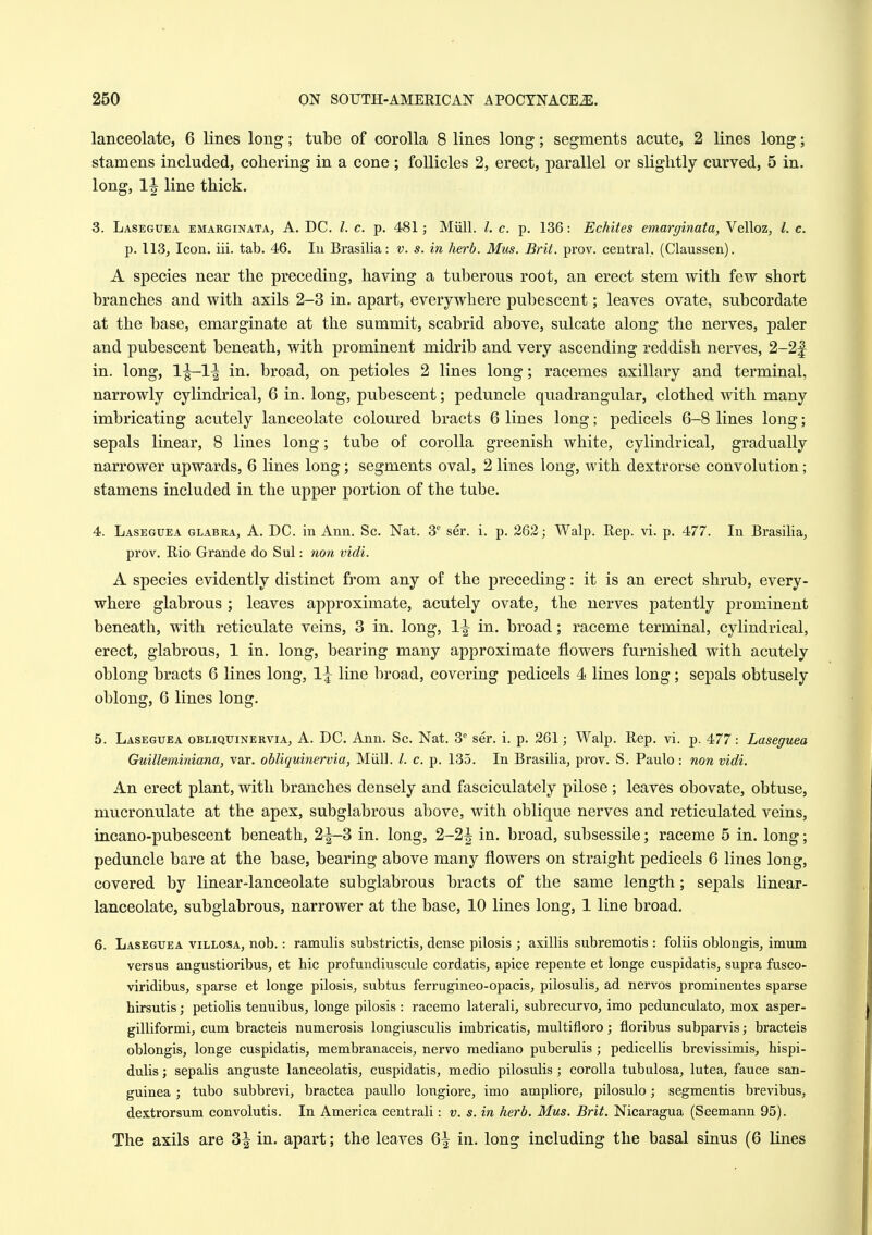 lanceolate, 6 lines long; tube of corolla 8 lines long; segments acute, 2 lines long; stamens included, cohering in a cone ; follicles 2, erect, parallel or slightly curved, 5 in. long, 1^ line thick. 3. Laseguea emarginata, a. DC. I. c. p. 481; Miill. /. c. p. 136: Echites emarginata, Velloz, I. c. p. 113, Icon. iii. tab. 46. lu Brasilia: v. s. in herb. Mus. Brit. prov. central. (Claussen). A species near the preceding, having a tuberous root, an erect stem with few short branches and with axils 2-3 in. apart, everywhere pubescent; leaves ovate, subcordate at the base, emarginate at the summit, scabrid above, sulcate along the nerves, paler and pubescent beneath, with prominent midrib and very ascending reddish nerves, 2-2f in. long, in. broad, on petioles 2 lines long; racemes axillary and terminal, narrowly cylindrical, 6 in. long, pubescent; peduncle quadrangular, clothed with many imbricating acutely lanceolate coloured bracts 6 lines long; pedicels 6-8 lines long; sepals linear, 8 lines long; tube of corolla greenish white, cylindrical, gradually narrower upwards, 6 lines long; segments oval, 2 lines long, with dextrorse convolution; stamens included in the upper portion of the tube. 4. Laseguea glabra, A. DC. in Ann. Sc. Nat. 3 ser. i. p. 262; Walp. Rep. vi. p. 477. In Brasilia, prov. Rio Grande do Sul: non vidi. A species evidently distinct from any of the preceding: it is an erect shrub, every- where glabrous ; leaves approximate, acutely ovate, the nerves patently prominent beneath, with reticulate veins, 3 in. long, 1^ in. broad; raceme terminal, cyhndrical, erect, glabrous, 1 in. long, bearing many approximate flowers furnished with acutely oblong bracts 6 lines long, 1^ line broad, covering pedicels 4 lines long; sepals obtusely oblong, 6 lines long. 5. Laseguea obliquinervia, A. DC. Ann. Sc. Nat, 3^ ser. i. p. 261; Walp. Rep. vi. p. 477: Laseguea Guilleminiana, var. obliquinervia, Miill. /. c. p. 135. In Brasilia, prov. S. Paulo: non vidi. An erect plant, with branches densely and fasciculately pilose; leaves obovate, obtuse, mucronulate at the apex, subglabrous above, with oblique nerves and reticulated veins, incano-pubescent beneath, 2|-3 in. long, 2-2^ in. broad, subsessile; raceme 5 in. long; peduncle bare at the base, bearing above many flowers on straight pedicels 6 lines long, covered by linear-lanceolate subglabrous bracts of the same length; sepals linear- lanceolate, subglabrous, narrower at the base, 10 lines long, 1 line broad. 6. Laseguea villosa, nob.: ramulis substrictis, dense pilosis ; axillis subremotis : foliis oblongis, imum versus angustioribus, et bic profundiuscule cordatis, apice repente et longe cuspidatis, supra fusco- viridibus, sparse et longe pilosis, subtus ferrugineo-opacis, pilosulis, ad nervos prominentes sparse hirsutis; petiolis tenuibus, longe pilosis : racemo laterali, subrecurvo, imo pedunculato, mox asper- gilliformi, cum bracteis numerosis longiusculis imbricatis, multifloro; floribus subparvis; bracteis oblongis, longe cuspidatis, membranaceis, nervo mediano puberulis; pedicellis brevissimis, hispi- dulis; sepalis anguste lanceolatis, cuspidatis, medio pilosulis; corolla tubulosa, lutea, fauce san- guinea ; tubo subbrevi, bractea paullo lougiore, imo ampliore, pilosulo; segmentis brevibus, dextrorsum convolutis. In America centrali: v. s. in herb. Mus. Brit. Nicaragua (Seemann 95). The axils are 3^ in. apart; the leaves 6^ in. long including the basal sinus (6 lines