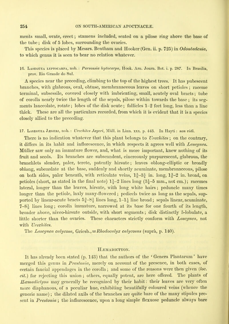 ments small, ovate, erect; stamens included, seated on a pilose ring above the base of the tube; disk of 5 lobes, surrounding the ovaries. This species is placed by Messrs. Bentham and Hooker (Gen. ii. p. 725) in Odontadenia, to which genus it is seen to bear no relation whatever. 16. Laseguea leptocarpa^ nob.: Parsonsia leptocarpa, Hook. Am. Journ. Bot. i. p. 287. In Brasilia, prov. Bio Grande do Sul. A species near the preceding, climbing to the top of the highest trees. It has pubescent branches, with glabrous, oval, obtuse, membranaceous leaves on short petioles ; raceme terminal, subsessile, covered closely with imbricating, small, acutely oval bracts; tube of corolla nearly twice the length of the sepals, pilose within towards the base ; its seg- ments lanceolate, rotate; lobes of the disk acute; follicles 1-2 feet long, less than a line thick. These are all the particulars recorded, from which it is evident that it is a species closely allied to the preceding. 17. Laseguea JiEGERi, nob.: Urechites Jcegeri, Miill. in Linn. xxx. p. 443. In Hayti: non vidi. There is no indication whatever that this plant belongs to TJrecJiites ; on the contrary, it differs in its habit and inflorescence, in which respects it agrees well with Laseguea. Miiller saw only an immature floAver, and, what is more important, knew nothing of its fruit and seeds. Its branches are subscandent, cinereously purpurescent, glabrous, the branchlets slender, paler, terete, patently hirsute; leaves oblong-elliptic or broadly oblong, subcordate at the base, suddenly and shortly acuminate, membranaceous, pilose on both sides, paler beneath, with reticulate veins, 1|-3|- in. long. If-2 in. broad, on petioles (short, as stated in the final note) l|-2 lines long (3^-5 mm., not cm.); racemes lateral, longer than the leaves, hirsute, with long white hairs; peduncle many times longer than the petiole, laxly many-flowered; pedicels twice as long as the sepals, sup- ported by linear-acute bracts 5|-8^ lines long, 1-1^ line broad; sepals linear, acuminate, 7-8^ lines long; corolla immature, narrowed at its base for one fourth of its length, broader above, niveo-hirsute outside, with short segments; disk distinctly 5-lobulate, a little shorter than the ovaries. These characters strictly conform with Laseguea, not with Urechites. The Laseguea cali/cosa, Griesh.,=RJiodocali/x calycosus (supra, p. 140). H^MADICTYON. It has abeady been stated (p. 143) that the authors of the ' Genera Plantarum' have merged this genus in JPrestouia, merely on account of the presence, in both cases, of certain faucial appendages in the corolla; and some of the reasons were then given {loc. cit.) for rejecting this union; others, equally potent, are here offered. The plants of Kcemadictyon may generally be recognized by their habit: their leaves are very often more diaphanous, of a peculiar hue, exhibiting beautifully coloured veins (whence the generic name); the dilated axils of the branches are quite bare of the many stipules pre- sent in JPrestonia; the inflorescence, upon a long simple flexuose peduncle always bare