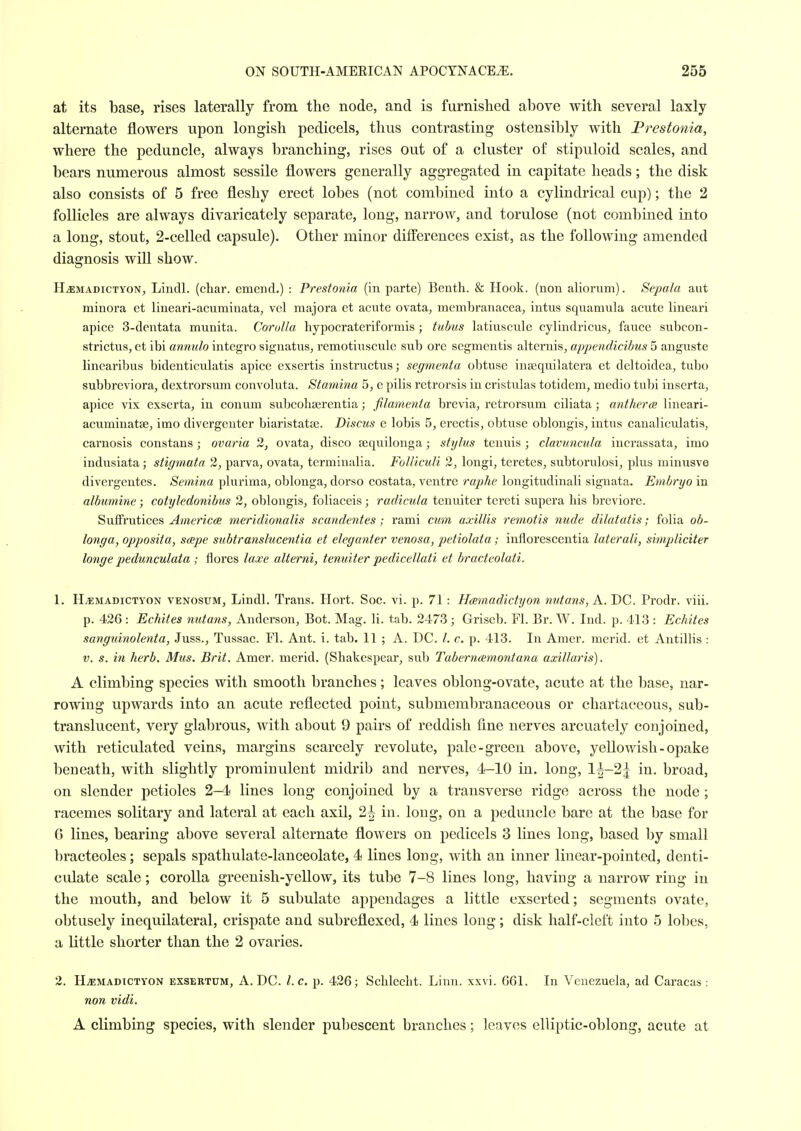 at its base, rises laterally from the node, and is furnished above with several laxly alternate flowers upon longish pedicels, thus contrasting ostensibly with Frestonia, where the peduncle, always branching, rises out of a cluster of stipuloid scales, and bears numerous almost sessile flowers generally aggregated in capitate heads; the disk also consists of 5 free fleshy erect lobes (not combined into a cylindrical cup); the 2 follicles are always divaricately separate, long, narrow, and torulose (not combined into a long, stout, 2-celled capsule). Other minor differences exist, as the following amended diagnosis will show. HiEMADiCTYON, Lindl. (cliar. emend.) : Prestonta (in parte) Benth. & Hook, (non alionim). Sepala ant minora et lineari-acurainata, vcl majora et acute ovata, membranacea, intus squamula acute lineari apice 3-dentata munita. Corolla hypocrateriformis; tubus latiuscule cylindricus, fauce subcon- strictus, et ibi amiulo integro signatus, remotiuscule sub ore segmentis alternis, appendicibiis 5 anguste linearibus bidenticulatis apice exsertis instructus; segmenta obtuse insequilatera et deltoidea, tubo subbreviora, dextrorsum convoluta. Stamina 5, e pilis retrorsis in cristulas totidem, medio tubi inserta, apice vix exserta, in conum subcohaerentia; filamenta brevia, retrorsum ciliata; antherai lineari- acuminatse, imo divergenter biaristatte. Discus e lobis 5, erectis, obtuse oblongis, intus canaliculatis, carnosis constans; ovaria 2, ovata, disco aequilonga; stylus tenuis; clavuncula iucrassata, imo indusiata; stigmata 2, parva, ovata, terminalia. FoUiculi 2, longi, teretes, subtorulosi, plus minusve divergentes. Semina phxrima, oblonga, dorso costata, ventre raphe longitudinali signata. Embryo in albumine; cotyledonibus 2, oblongis, foliaceis; radicula tenuiter tereti supera his breviore. SufFrutices Americas meridionalis scandentes ; rami cum axillis remotis nude dilatatis; folia ob- longa, opposita, saepe subtranslucentia et eleganter venosa, petiolata; inflorescentia laterali, simpliciter longe pedunculata ; flores laxe alterni, tenuiter pedicellati et hracteolati. 1. H^MADicTYON VENosuM, Lindl. Trans. Hort. Soc. vi. p. 71: Hamadictyon nutans, A. DC. Prodr. viii. p. 426 : Echites nutans, Anderson, Bot. Mag. li. tab. 2473; Griseb. Fl. Br. W. Ind. p. 413 : Echites sanguinolenta, Juss., Tussac. Fl. Ant. i. tab. 11 ; A. DC. /. c. p. 413. In Amer. merid. et Antillis : V. s. in herb. Mus. Brit. Amer. merid. (Shakespear, sub Taberncemontana axillaris). A climbing species with smooth branches; leaves oblong-ovate, acute at the base, nar- rowing upwards into an acute reflected point, submembranaceous or chartaceous, sub- translucent, very glabrous, with about 9 pairs of reddish fine nerves arcuately conjoined, with reticulated veins, margins scarcely re volute, pale-green above, yellowish - opake beneath, with slightly prominulent midrib and nerves, 4-10 in. long, 1^-2| in. broad, on slender petioles 2-4 lines long conjoined by a transverse ridge across the node; racemes solitary and lateral at each axil, 2^ in. long, on a peduncle bare at the base for 6 lines, bearing above several alternate flowers on pedicels 3 lines long, based by small bracteoles; sepals spathulate-lanceolate, 4 lines long, Avith an inner linear-pointed, denti- culate scale; corolla greenish-yellow, its tube 7-8 lines long, having a narrow ring in the mouth, and below it 5 subulate appendages a little exserted; segments ovate, obtusely inequilateral, crispate and subreflexed, 4 lines long; disk half-cleft into 5 lobes, a Little shorter than the 2 ovaries. 2. HjEMadictyon exsertum, a. DC. I.e. p. 426; Schleclit. Linn. xxvi. 661. In Venezuela, ad Caracas: non vidi. A climbing species, with slender pubescent branches; leaves elliptic-oblong, acute at