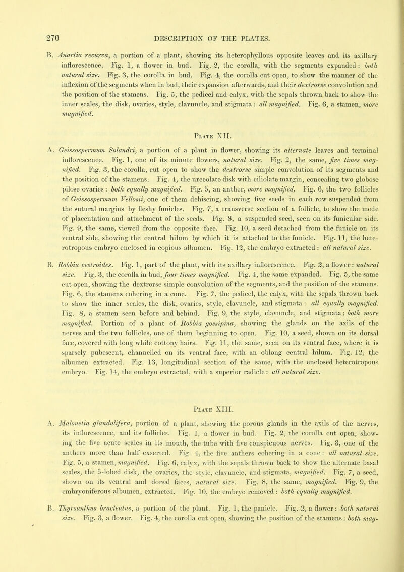 B. Anartia recurva, a portion of a plant, showing its heterophyllous opposite leaves and its axillary inflorescence. Fig. 1, a flower in bud. Fig. 2, the corolla, with the segments expanded: both natural size. Fig. 3, the corolla in bud. Fig. 4, the corolla cut open, to show the manner of the inflexion of the segments when in bud, their expansion afterwards, and their dextrorse convolution and the position of the stamens. Fig. 5, the pedicel and calyx, with the sepals thrown back to show the inner scales, the disk, ovaries, style, clavuncle, and stigmata : all magnified. Fig. 6, a stamen, more magnified. Plate XII. A. Geissospermum Solandri, a portion of a plant in flower, showing its alternate leaves and terminal inflorescence. Fig. 1, one of its minute flowers, natural size. Fig. 2, the same, five times mag- nified. Fig. 3, the corolla, cut open to show the dextrorse simple convolution of its segments and the position of the stamens. Fig. 4, the nrceolate disk with ciliolate margin, concealing two globose pilose ovaries ; both equally magnified. Fig. 5, an anther, more magnified. Fig. 6, the two follicles of Geissospermum Vellosii, one of them dehiscing, showing five seeds in each row suspended from the sutural margins by fleshy funicles. Fig. 7, a transverse section of a follicle, to show the mode of placentation and attachment of the seeds. Fig. 8, a suspended seed, seen on its funicular side. Fig. 9, the same, viewed from the opposite face. Fig. 10, a seed detached from the funicle on its ventral side, showing the central hilum by which it is attached to the funicle. Fig. 11, the hete- rotropous embryo enclosed in copious albumen. Fig. 12, the embryo extracted : all natural size. B. Robbia cestroides. Fig. 1, part of the plant, with its axillary inflorescence. Fig. 2, a flower: natural size. Fig. 3, the corolla in bud, four times magnified. Fig. 4, the same expanded. Fig. 5, the same cut open, showing the dextrorse simple convolution of the segments, and the position of the stamens. Fig. 6, the stamens cohering in a cone. Fig. 7, the pedicel, the calyx, with the sepals thrown back to show the inner scales, the disk, ovaries, style, clavuncle, and stigmata : all equally magnified. Fig. 8, a stamen seen before and behind. Fig. 9, the style, clavuncle, and stigmata: both more magnified. Portion of a plant of Robbia gossipina, showing the glands on the axils of the nerves and the two follicles, one of them beginning to open. Fig. 10, a seed, shown on its dorsal face, covered with long while cottony hairs. Fig. 11, the same, seen on its ventral face, where it is sparsely pubescent, channelled on its ventral face, with an oblong central hilum. Fig. 12, the albumen extracted. Fig. 13, longitudinal section of the same, with the enclosed heterotropous embryo. Fig. 14, the embryo extracted, with a superior radicle: all natural size. Plate XIII. A. Malouetia glandulifera, portion of a plant, showing the porous glands in the axils of the nerves, its inflorescence, and its follicles. Fig. 1, a flower in bud. Fig. 2, the corolla cut open, show- ing the five acute scales in its mouth, the tube with five conspicuous nerves. Fig. 3, one of the anthers more than half exserted. Fig. 4, the five anthers cohering in a cone : all natural size. Fig. 5, a stamen, magnified. Fig. 6, calyx, with the sepals thrown back to show the alternate basal scales, the 5-lobed disk, the ovaries, the style, clavuncle, and stigmata, magnified. Fig. 7, a seed, shown on its ventral and dorsal faces, natural size. Fig. 8, the same, magnified. Fig. 9, the embryoniferous albumen, extracted. Fig. 10, the embryo removed : both equally magnified. B. Thyrsanthus bracteatus, a portion of the plant. Fig. 1, the panicle. Fig. 2, a flower: both natural size. Fig. 3, a flower. Fig. 4, the corolla cut open, showing the position of the stamens: both mag-