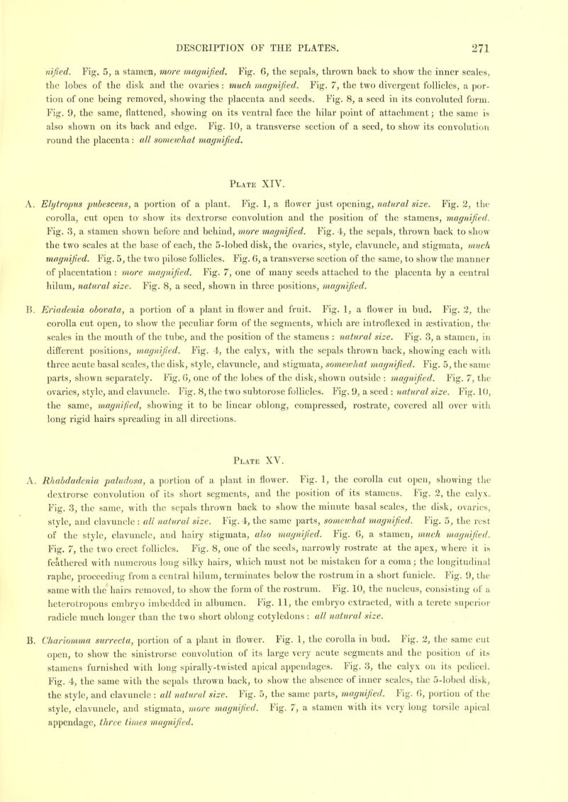 nified. Fig. 5, a stamen, more magnified. Fig. 6, the sepals, tIiro«Ti back to show the inner scales, the lobes of the disk and the ovaries : much magnified. Fig. 7, the two divergent follicles, a por- tion of one being removed, showing the placenta and seeds. Fig. 8, a seed in its convoluted form. Fig. 9, the same, flattened, showing on its ventral face the hilar point of attachment; the same is also shown on its back and edge. Fig. 10, a transverse section of a seed, to show its convolution round the placenta : all somewhat magnified. Plate XIV. A. Elytropus pubescem, a portion of a plant. Fig. 1, a flower just opening, natural size. Fig. 2, the corolla, cut open to show its dextrorse convolution and the position of the stamens, magnified. Fig. 3, a stamen shown before and behind, more magnified. Fig. 4, the sepals, thrown back to show the two scales at the base of each, the 5-lobed disk, the ovaries, style, clavuncle, and stigmata, much magnified. Fig. 5, the two pilose follicles. Fig. 6, a transverse section of the same, to show the manner of placentation : more magnifiied. Fig. 7, one of many seeds attached to the placenta by a central hilum, natural size. Fig. 8, a seed, shown in three positions, magnified. B. Eriadenia obovata, a portion of a plant in flower and fruit. Fig. 1, a flower in bud. Fig. 2, the corolla cut open^ to show the peculiar form of the segments, which are introflexed in aestivation, the scales in the mouth of the tube, and the position of the stamens : natural size. Fig. 3, a stamen, in different positions, magnified. Fig. 4, the calyx, with the sepals thrown back, showing each with three acute basal scales, the disk, style, clavuncle, and stigmata, somewhat magnified. Fig. 5, the same parts, shown separately. Fig. 6, one of the lobes of the disk, shown outside : magnified. Fig. 7, the ovaries, style, and clavuncle. Fig. 8, the two subtorose follicles. Fig. 9, a seed : natural size. Fig. 10, the same, magnified, showing it to be linear oblong, compressed, rostrate, covered all over with long rigid hairs spreading in all directions. Plate XV. A. Rhabdadenia paludosa, a portion of a plant in flower. Fig. 1, the corolla cut open, showing tlie dextrorse convolution of its short segments, and the position of its stamens. Fig. 2, the calyx. Fig. 3, the same, with the sepals thrown back to show the minute basal scales, the disk, ovaries, style, and clavuncle : all natural size. Fig. 4, the same parts, somewhat magnified. Fig, 5, the rest of the style, clavuncle, and hairy stigmata, also magn'ified. Fig. 6, a stamen, much magnified. Fig. 7, the two erect follicles. Fig. 8, one of the seeds, narrowly rostrate at the apex, where it is feathered with numerous long silky hairs, which must not be mistaken for a coma; the longitudinal raphe, proceeding from a central hilum, terminates below the rostrum in a short funiele. Fig. 9, the same with the hairs removed, to show the form of the rostrui^i. Fig. 10, the nucleus, consisting of a heterotropous embryo imbedded in albumen. Fig. II, the embryo extracted, with a terete superior radicle much longer than the two short oblong cotyledons : all natural size. B. Chariomma surrecta, portion of a plant in flower. Fig. I, the corolla in bud. Fig. 2, the same cut open, to show the sinistrorse convolution of its large very acute segments and the position of its stamens furnished with long spirally-twisted apical appendages. Fig. 3, the calyx on its pedicel. Fig. 4, the same with the sepals thrown back, to show the absence of inner scales, the 5-lobed disk, the style, and clavuncle : all natural size. Fig. 5, the same parts, magnified. Fig. G, portion of the style, clavuncle, and stigmata, more magnified. Fig. 7, a stamen with its very long torsile apical appendage, three times magnified.