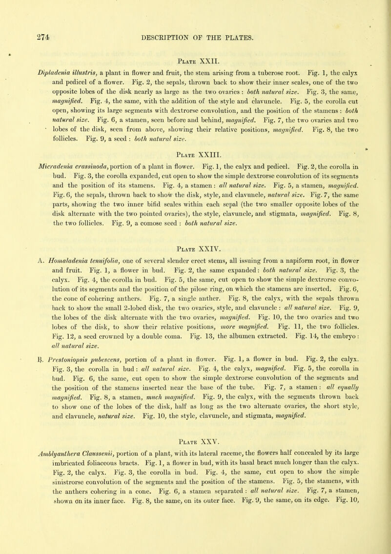 Plate XXII. Dipladenia illustris, a plant in flower and fruit, the stem arising from a tuberose root. Fig. 1, the calyx and pedicel of a flower. Fig. 2, the sepals, thrown back to show their inner scales, one of the two opposite lobes of the disk nearly as large as the two ovaries : both natural size. Fig. 3, the same, magnified. Fig. 4, the same, with the addition of the style and clavuncle. Fig. 5, the corolla cut open, showing its large segments with dextrorse convolution, and the position of the stamens : both natural size. Fig. 6, a stamen, seen before and behind, magnified. Fig. 7, the two ovaries and two • lobes of the disk, seen from above, showing their relative positions, magnified. Fig. 8, the two follicles. Fig. 9, a seed : both natural size. Plate XXIII. Micradenia crassinoda, portion of a plant in flower. Fig. 1, the calyx and pedicel. Fig. 2, the corolla in bud. Fig. 3, the corolla expanded, cut open to show the simple dextrorse convolution of its segments and the position of its stamens. Fig. 4, a stamen: all natural size. Fig. 5, a stamen, magnified. Fig. 6, the sepals, thrown back to show the disk, style, and clavuncle, natural size. Fig. 7, the same parts, showing the two inner bifid scales within each sepal (the two smaller opposite lobes of the disk alternate with the two pointed ovaries), the style, clavuncle, and stigmata, magnified. Fig. 8, the two follicles. Fig. 9, a comose seed : both natural size. Plate XXIV. A. Homaladenia tenuifolia, one of several slender erect stems, all issuing from a napiform root, in flower and fruit. Fig. 1, a flower in bud. Fig. 2, the same expanded: both natural size. Fig. 3, the calyx. Fig. 4, the corolla in bud. Fig. 5, the same, cut open to show the simple dextrorse convo- lution of its segments and the position of the pilose ring, on which the stamens are inserted. Fig. 6, the cone of cohering anthers. Fig. 7, a single anther. Fig. 8, the calyx, with the sepals thrown back to show the small 2-lobed disk, the two ovaries, style, and clavuncle : all natural size. Fig. 9, the lobes of the disk alternate with the two ovaries, magnified. Fig. 10, the two ovaries and two lobes of the disk, to show their relative positions, more magnified. Fig. 11, the two follicles. Fig. 12, a seed crowned by a double coma. Fig. 13, the albumen extracted. Fig. 14, the embryo : all natural size. B. Prestoniopsis pubescens, portion of a plant in flower. Fig. 1, a flower in bud. Fig. 2, the calyx. Fig. 3, the corolla in bud: all natural size. Fig. 4, the calyx, magnified. Fig. 5, the corolla in bud. Fig. 6, the same, cut open to show the simple dextrorse convolution of the segments and the position of the stamens inserted near the base of the tube. Fig. 7, a stamen: all equally magnified. Fig. 8, a stamen, much magnified. Fig. 9, the calyx, with the segments thrown back to show one of the lobes of the disk, half as long as the two alternate ovaries, the short style, and clavuncle, natural size. Fig. 10, the style, clavuncle, and stigmata, magnified. Plate XXV. Amblyanthera Claussenii, portion of a plant, with its lateral raceme, the flowers half concealed by its large imbricated foliaceous bracts. Fig. 1, a flower in bud, with its basal bract much longer than the calyx. Fig. 2, the calyx. Fig. 3, the corolla in bud. Fig. 4, the same, cut open to show the simple sinistrorse convolution of the segments and the position of the stamens. Fig. 5, the stamens, with the anthers cohering in a cone. Fig. 6, a stamen separated : all natural size. Fig. 7, a stamen, shown on its inner face. Fig. 8, the same, on its outer face. Fig. 9, the same, on its edge. Fig. 10,