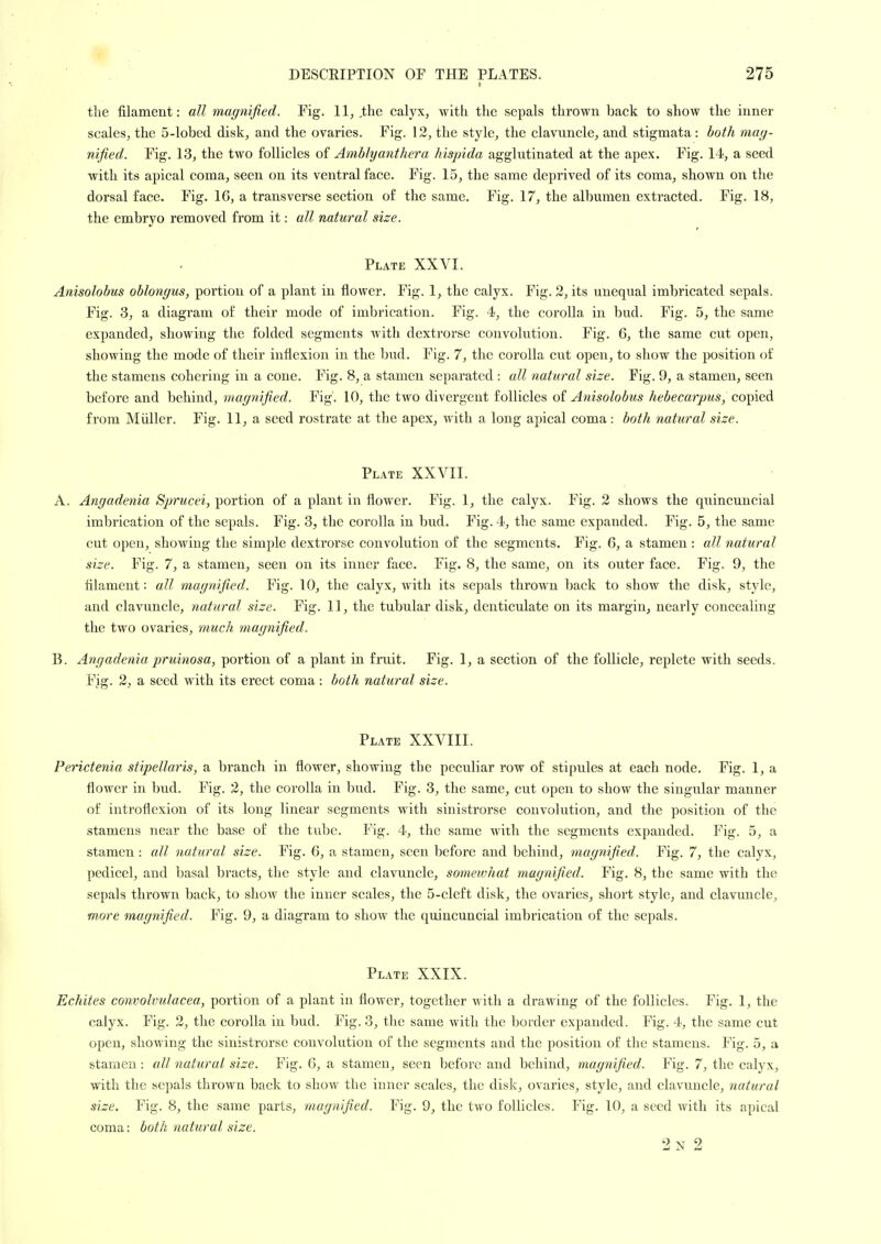 the filament: all magnified. Fig. II, .the calyx, with the sepals thrown back to show the inner scales, the 5-lobed. disk, and the ovaries. Fig. 12, the style, the clavuncle, and stigmata: both mag- nified. Fig. 13, the two follicles of Ambly anther a hispida agglutinated at the apex. Fig. 14, a seed with its apical coma, seen on its ventral face. Fig. 15, the same deprived of its coma, shown on the dorsal face. Fig. 16, a transverse section of the same. Fig. 17, the albumen extracted. Fig. 18, the embryo removed from it: all natural size. Plate XXVI. Anisolobus oblongus, portion of a plant in flower. Fig. I, the calyx. Fig. 2, its unequal imbricated sepals. Fig. 3, a diagram of their mode of imbrication. Fig. 4, the corolla in bud. Fig. 5, the same expanded, showing the folded segments with dextrorse convolution. Fig. 6, the same cut open, showing the mode of their inflexion in the bud. Fig. 7, the corolla cut open, to show the position of the stamens cohering in a cone. Fig. 8, a stamen separated : all natural size. Fig. 9, a stamen, seen before and behind, magnified. Fig. 10, the two divergent follicles of Anisolobus hebecarpus, copied from Muller. Fig. II, a seed rostrate at the apex, with a long apical coma: both natural size. Plate XXVII. A. Angadenia Sprucei, portion of a plant in flower. Fig. I, the calyx. Fig. 2 shows the quincuncial imbrication of the sepals. Fig. 3, the corolla in bud. Fig. 4, the same expanded. Fig. 5, the same cut open, showing the simple dextrorse convolution of the segments. Fig. 6, a stamen: all natural size. Fig. 7, a stamen, seen on its inner face. Fig. 8, the same, on its outer face. Fig. 9, the filament: all magnified. Fig. 10, the calyx, with its sepals thrown back to show the disk, style, and clavuncle, natural size. Fig. 11, the tubular disk, denticulate on its margin, nearly concealing the two ovaries, much magnified. B. Angadenia pruinosa, portion of a plant in fruit. Fig. 1, a section of the follicle, replete with seeds. Fig. 2, a seed with its erect coma: both natural size. Plate XXVIII. Perictenia stipellaris, a branch in flower, showing the peculiar row of stipules at each node. Fig. 1, a flower in bud. Fig. 2, the corolla in bud. Fig. 3, the same, cut open to show the singular manner of iutroflexion of its long linear segments with sinistrorse convolution, and the position of the stamens near the base of the tube. Fig. 4, the same with the segments expanded. Fig. 5, a stamen: all natural size. Fig. 6, a stamen, seen before and behind, magnified. Fig. 7, the calyx, pedicel, and basal bracts, the style and clavuncle, somewhat magnified. Fig. 8, the same with the sepals thrown back, to show the inner scales, the 5-clcft disk, the ovaries, short style, and clavuncle, more magnified. Fig. 9, a diagram to show the quincuncial imbrication of the sepals. Plate XXIX. Echites convolvulacea, portion of a plant in flower, together with a drawing of the follicles. Fig. 1, the calyx. Fig. 2, the corolla in bud. Fig. 3, the same with the border expanded. Fig. 4, the same cut open, showing the sinistrorse convolution of the segments and the position of the stamens. Fig. 5, a stamen : all natural size. Fig. 6, a stamen, seen before and behind, magnified. Fig. 7, the calyx, with the sepals thrown back to show the inner scales, the disk, ovaries, style, and clavuncle, natural size. Fig. 8, the same parts, magnified. Fig. 9, the two follicles. Fig. 10, a seed with its apical coma: both natural size. 2n 2