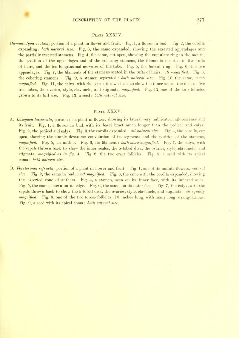 Plate XXXIV. HcBmadictyon ovatum, portion of a plant in flower and fruit. Fig. 1, a flower in bud. Fig. 2, the corolla expanding: both natural size. Fig. 3, the same expanded, showing the exserted appendages and the partially exserted stamens. Fig. 4, the same, cut open, showing the crenulate ring in the mouth, the position of the appendages and of the cohering stamens, the filaments inserted in five tufts of hairs, and the ten longitudinal nervures of the tube. Fig. 5, the buccal ring. E'ig. 6, the five appendages. Fig. 7, the filaments of the stamens seated in the tufts of hairs : all magnified. Fig. 8, the cohering stamens. Fig. 9, a stamen separated : both natural size. Fig. 10, the same, muck magnified. Fig. 11, the calyx, with the sepals thro\yn back to show the inner scales, the disk of five free lobes, the ovaries, style, clavuncle, and stigmata, 'magnified. Fig. 12, one of the two follicles grown to its full size. Fig. 13, a seed : both natural size. Plate XXXV. A. Laseguea latiusmla, portion of a plant in flower, showing its lateral very imbricated inflorescence and its fruit. Fig. 1, a flower in bud, with its basal bract much longer than the pedicel and calyx. Fig, 2, the pedicel and calyx. Fig. 3, the corolla expanded : all natural size. Fig. -t, the corolla, cut open, showing the simple dextrorse convolution of its segments and the position of the stamens, magnified. Fig. 5, an anther. Fig. 6, its filament: both more magnified. Fig. 7, the calyx, with the sepals thrown back to show the inner scales, the 5-lobed disk, the ovaries, style, clavuncle, and stigmata, magnifiied as in fig. 4. Fig. 8, the two erect follicles. Fig. 9, a seed with its apical coma : both natural size. B. Forsteronia refracta, portion of a plant in flower and fruit. Fig. 1, one of its minute flowers, natural size. Fig. 2, the same in bud, much magnified. Fig. 3, the same with the corolla expanded, showing the exserted cone of anthers. Fig. 4, a stamen, seen on its inner face, with its inflexed apex. Fig. 5, the same, shown on its edge. Fig. 6, the same, on its outer face. Fig. 7, the calyx, with the sepals thrown back to show the 5-lobed disk, the ovaries, style, clavuncle, and stigmata : all equally magnified. Fig. 8, one of the two torose follicles, 10 inches long, with many long strangulations. Fig. 9, a seed with its apical coma: both natural size.