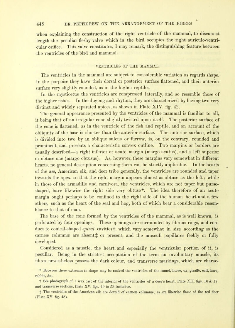 when explaining the construction of the right ventricle of the mammal, to discuss at length the peculiar fleshy valve which in the bird occupies the right auriculo-ventri- cular orifice. This valve constitutes, I may remark, the distinguishing feature between the ventricles of the bird and mammal. VENTRICLES OF THE MAMMAL. The ventricles in the mammal are subject to considerable variation as regards shape. In the porpoise they have their dorsal or posterior surface flattened, and their anterior surface very slightly rounded, as in the higher reptiles. In the mysticetus the ventricles are compressed laterally, and so resemble those of the higher fishes. In the dugong and rhytina, they are characterized by having two very distinct and widely separated apices, as shown in Plate XIV. fig. 42. The general appearance presented by the ventricles of the mammal is familiar to all, it being that of an irregular cone slightly twisted upon itself. The posterior surface of the cone is flattened, as in the ventricle of the fish and reptile, and on account of the obliquity of the base is shorter than the anterior surface. The anterior surface, which is divided into two by an oblique sulcus or furrow, is, on the contrary, rounded and prominent, and presents a characteristic convex outline. Two margins or borders are usually described—a right inferior or acute margin (margo acutus), and a left superior or obtuse one (margo obtusus). As, however, these margins vary somewhat in different hearts, no general description concerning them can be strictly applicable. In the hearts of the ass, American elk, and deer tribe generally, the ventricles are rounded and taper towards the apex, so that the right margin appears almost as obtuse as the left; while in those of the armadillo and carnivora, the ventricles, which are not taper but purse- shaped, have likewise the right side very obtuse*. The idea therefore of an acute margin ought perhaps to be confined to the right side of the human heart and a few others, such as the heart of the seal and hog, both of which bear a considerable resem- blance to that of man. The base of the cone formed by the ventricles of the mammal, as is well known, is perforated by four openings. These openings are surrounded by fibrous rings, and con- duct to conical-shaped spiral cavities f, which vary somewhat in size according as the earner columnar are absent % or present, and the musculi papillares feebly or fully developed. Considered as a muscle, the heart, and especially the ventricular portion of it, is peculiar. Being in the strictest acceptation of the term an involuntary muscle, its fibres nevertheless possess the dark colour, and transverse markings, which are charac- * Between these extremes in shape may be ranked the ventricles of the camel, horse, ox, giraffe, calf, hare, rabbit, &c. t See photograph of a wax cast of the interior of the ventricles of a deer's heart, Plate XII. figs. 16 & 17, and transverse sections, Plate XV. figs. 49 to 53 inclusive. X The ventricles of the American elk are devoid of carneae columnse, as are likewise those of the red deer (Plate XV. fig. 48).