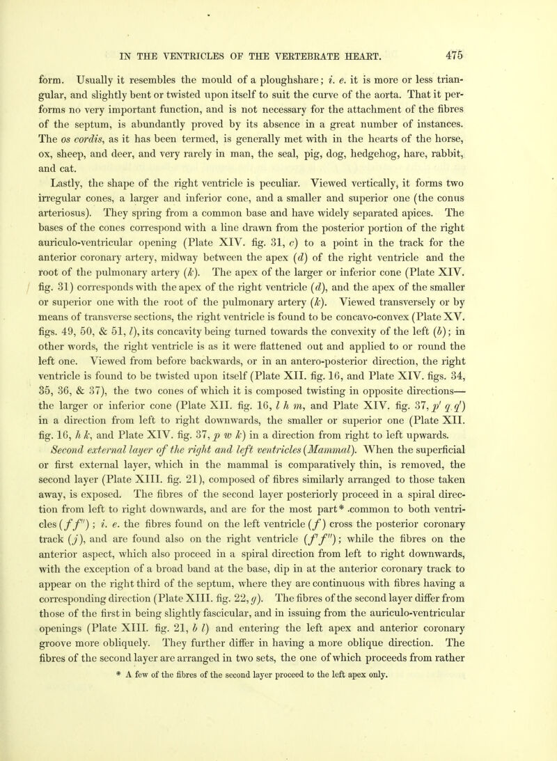 form. Usually it resembles the mould of a ploughshare; i. e. it is more or less trian- gular, and slightly bent or twisted upon itself to suit the curve of the aorta. That it per- forms no very important function, and is not necessary for the attachment of the fibres of the septum, is abundantly proved by its absence in a great number of instances. The os cordis, as it has been termed, is generally met with in the hearts of the horse, ox, sheep, and deer, and very rarely in man, the seal, pig, dog, hedgehog, hare, rabbit, and cat. Lastly, the shape of the right ventricle is peculiar. Viewed vertically, it forms two irregular cones, a larger and inferior cone, and a smaller and superior one (the conus arteriosus). They spring from a common base and have widely separated apices. The bases of the cones correspond with a line drawn from the posterior portion of the right auriculo-ventricular opening (Plate XIV. fig. 31, c) to a point in the track for the anterior coronary artery, midway between the apex (d) of the right ventricle and the root of the pulmonary artery (k). The apex of the larger or inferior cone (Plate XIV. fig. 31) corresponds with the apex of the right ventricle (d), and the apex of the smaller or superior one with the root of the pulmonary artery (k). Viewed transversely or by means of transverse sections, the right ventricle is found to be concavo-convex (Plate XV. figs. 49, 50, & 51,I), its concavity being turned towards the convexity of the left (b); in other words, the right ventricle is as it were flattened out and applied to or round the left one. Viewed from before backwards, or in an antero-posterior direction, the right ventricle is found to be twisted upon itself (Plate XII. fig. 16, and Plate XIV. figs. 34, 35, 36, & 37), the two cones of which it is composed twisting in opposite directions— the larger or inferior cone (Plate XII. fig. 16, I h m, and Plate XIV. fig. 37, p' q (f) in a direction from left to right downwards, the smaller or superior one (Plate XII. fig. 16, h k, and Plate XIV. fig. 37, p w k) in a direction from right to left upwards. Second external layer of the right and left ventricles {Mammal). When the superficial or first external layer, which in the mammal is comparatively thin, is removed, the second layer (Plate XIII. fig. 21), composed of fibres similarly arranged to those taken away, is exposed. The fibres of the second layer posteriorly proceed in a spiral direc- tion from left to right downwards, and are for the most part* .common to both ventri- cles (ff); i. e. the fibres found on the left ventricle (f) cross the posterior coronary track (j), and are found also on the right ventricle (ff)', while the fibres on the anterior aspect, which also proceed in a spiral direction from left to right downwards, with the exception of a broad band at the base, dip in at the anterior coronary track to appear on the right third of the septum, where they are continuous with fibres having a corresponding direction (Plate XIII. fig. 22, g). The fibres of the second layer differ from those of the first in being slightly fascicular, and in issuing from the auriculo-ventricular openings (Plate XIII. fig. 21, b I) and entering the left apex and anterior coronary groove more obliquely. They further differ in having a more oblique direction. The fibres of the second layer are arranged in two sets, the one of which proceeds from rather * A few of the fibres of the second layer proceed to the left apex only.