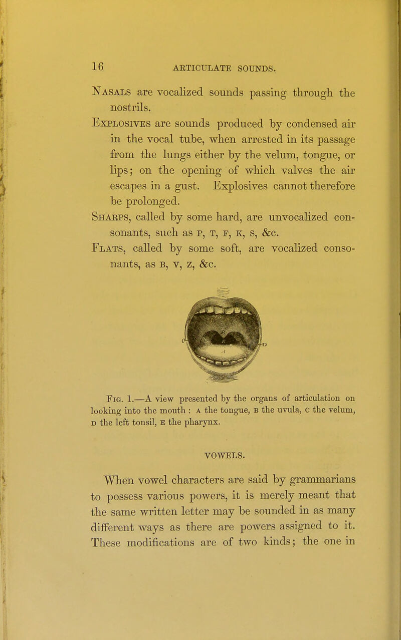 Nasals are vocalized sounds passing through the nostrils. Explosives are sounds produced by condensed air in the vocal tube, when arrested in its passage from the lungs either by the velum, tongue, or lips; on the opening of which valves the air escapes in a gust. Explosives cannot therefore be prolonged. Sharps, called by some hard, are unvocalized con- sonants, such as p, t, f, k, s, &c. Flats, called by some soft, are vocalized conso- nants, as b, v, z, &c. Fig. 1.—A view presented by the organs of articulation on looking into the mouth : a the tongue, B the uvula, c the velum, d the left tonsil, e the pharynx. VOWELS. When vowel characters are said by grammarians to possess various powers, it is merely meant that the same written letter may be sounded in as many different ways as there are powers assigned to it. These modifications are of two kinds; the one in
