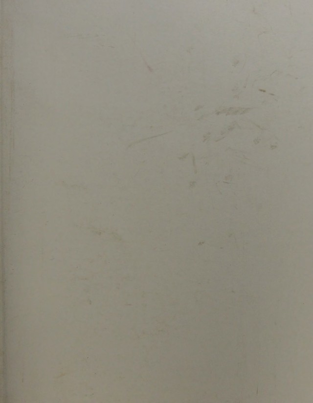 digitised image 1
