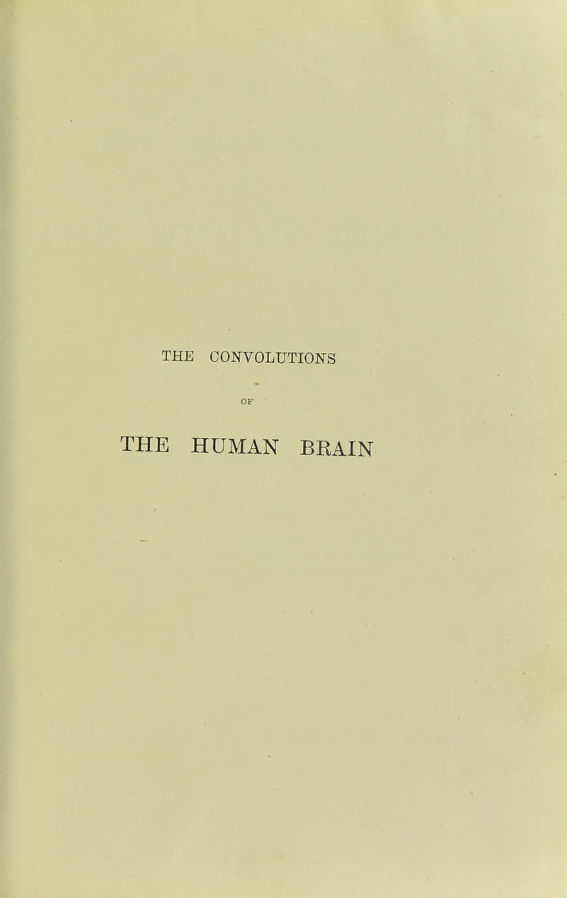 THE CONVOLUTIONS OF THE HUMAN BRAIN