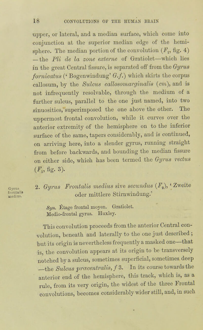 Gyrus frontalis Biedius. upper, or lateral, and a median surface, which come into conjunction at the superior median edge of the hemi- sphere. The median portion of the convolution {F^, fig. 4) — the Pli de la zone externe of Gratiolet—which lies in the great Central fissure, is separated off from the Gyrus fomicatus (' Bogenwindung' (?./.) which skirts the corpus callosum, by the Sulcus eallosomarginalis (cm), and is not infrequently resolvable, through the medium of a further sulcus, parallel to the one just named, into two sinuosities, superimposed the one above the other. The uppermost frontal convolution, while it curves over the anterior extremity of the hemisphere on to the inferior sui-face of the same, tapers considerably, and is continued, on arriving here, into a slender gyrus, running straight from before backwards, and bounding the median fissure on either side, which has been termed the Gyrus rectus {F„ fig. 3). 2. Gyrus Frontalis medius sive secundus (F^, ' Zweite oder mittlere Stirnwindung.' ^yn. Etage frontal moyen. Gratiolet. Medio-frontal gyrus, Huxley. This convolution proceeds from the anterior Central con- volution, beneath and laterally to the one just described; but its origin is nevertheless frequently a masked one—that is, the convolution appears at its origin to be transversely notched by a sulcus, sometimes superficial, sometimes deep —the Sulcus proicentralis, f 3. In its course towards the anterior end of the hemisphere, this track, which is, as a rule, from its very origin, the widest of the three Frontal convolutions, becomes considerably wider still, and, in such