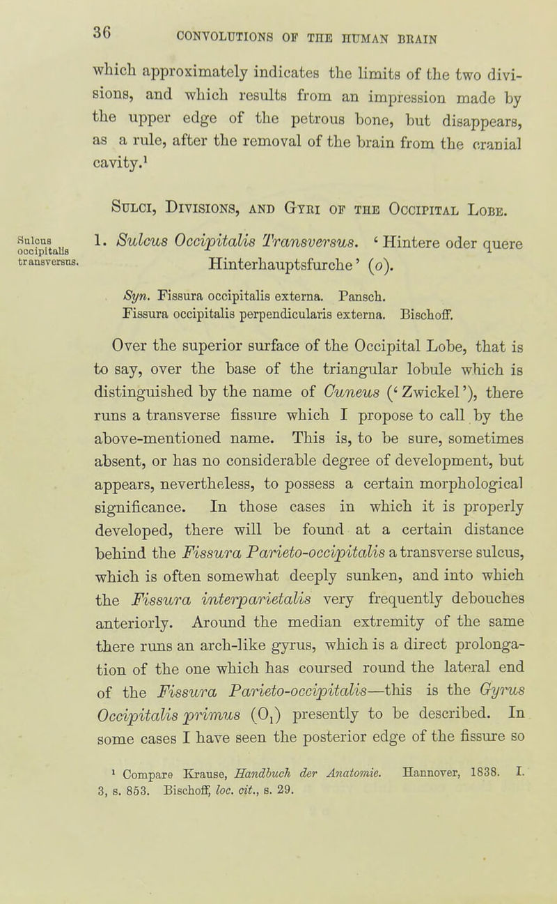 tran3 versus. which approximately indicates the limits of the two divi- sions, and which results from an impression made by the upper edge of the petrous bone, but disappears, as a rule, after the removal of the brain from the cranial cavity.' Sulci, Divisions, and Gtri of the Occipital Lobe. ocof^taus '^'^^^'^^ ^''^^P^'^^^^s ^''^^'^^Si^mus. ' Hintere Oder quere Hinterhauptsfurche' (o). Syn. Fissura occipitalis externa. Pansch. Fissura occipitalis perpendicularis externa. Bischoff. Over the superior surface of the Occipital Lobe, that is to say, over the base of the triangular lobule which is distinguished by the name of Cuneus (' Zwickel'), there runs a transverse fissiure which I propose to call by the above-mentioned name. This is, to be sure, sometimes absent, or has no considerable degree of development, but appears, nevertheless, to possess a certain morphological significance. In those cases in which it is properly developed, there will be found at a certain distance behind the Fissura Parieto-occipitalis a transverse sulcus, which is often somewhat deeply sunken, and into which the Fissura interparietalis very frequently debouches anteriorly. Around the median extremity of the same there runs an arch-like gyrus, which is a direct prolonga- tion of the one which has coursed round the lateral end of the Fissura Parieto-occipitalis—this is the Gyrus Occipitalis pHmus (Oi) presently to be described. In some cases I have seen the posterior edge of the fissure so ' Compare Krause, Handbuch der Anatomie. HannoTer, 1838. I. 3, s. 853. Bischoff, loc. cit., s. 29.