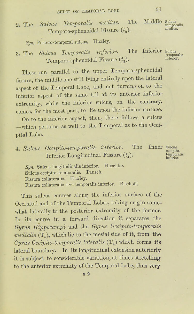 2. The Sulcus Temporalis medius. The Middle suicus^^^^ Temporo-sphenoidal Fissure {Q. Si^n, Postero-temporal sulcus. Huxley. 3. The Sulcus Temporalis inferior. The Inferior p^^^^^^ Temporo-sphenoidal Fissure (t^). i^^^^- These run parallel to the upper Temporo-sphenoidal fissm-e, the middle one still lying entirely upon the lateral aspect of the Temporal Lobe, and not turning on to the inferior aspect of the same till at its anterior inferior extremity, while the inferior sulcus, on the contrary, comes, for the most part, to lie upon the inferior sui-face. On to the inferior aspect, then, there follows a sulcus —which pertains as well to the Temporal as to the Occi- pital Lobe. 4. Sulcus Occipito-temporalis inferior. The Inner stJcns^^ Inferior Longitudinal Fissure (t^). Sorf^' Syn. Sulcus longitudinalis inferior. Huschke. Sulcus occipito-temporalis. Panscli. Fissura coUateralis. Huxley. Fissura coUateralis sive temporalis inferior, Bisclioff. This sulcus courses along the inferior surface of the Occipital and of the Temporal Lobes, taking origin some- what laterally to the posterior extremity of the former. In its course in a forward direction it separates the Gyrus Hippocampi and the Gyrus Occipito-temporalis medialis (Tg), which lie to the mesial side of it, from the Gyrus Occipito-temporalis lateralis (TJ which forms its lateral boundary. In its longitudinal extension anteriorly it is subject to considerable variation, at times stretching to the anterior extremity of the Temporal Lobe, thus very E 2