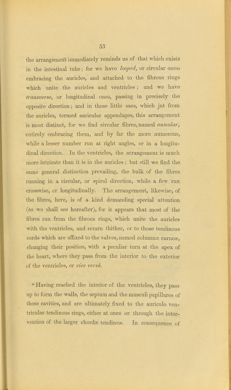 the arrangement immediately reminds us of that which exists in the intestinal tube; for we have looped, or circular ones? embracing the auricles, and attached to the fibrous rings which unite the auricles and ventricles ; and we have transverse, or longitudinal ones, passing in precisely the opposite direction; and in those little sacs, which jut from the auricles, termed auricular appendages, this arrangement is most distinct, for we find circular fibres, named annular, entirely embracing them, and by far the more numerous, while a lesser number run at right angles, or in a longitu- dinal du'ection. In the ventricles, the arrangement is much more intricate than it is in the auricles ; but still we find the same general distinction prevailing, the bulk of the fibres running in a circular, or spiral direction, while a few run crosswise, or longitudinally. The arrangement, likewise, of the fibres, here, is of a land demanding special attention (as we shall see hereafter), for it appears that most of the fibres run from the fibrous rings, which unite the auricles with the ventricles, and return thither, or to those tendinous cords which are affixed to the valves, named columnse carnese, changing their position, with a pecuhar turn at the apex of the heart, where they pass from the interior to the exterior of the ventricles, or vice versL  Having reached the interior of the ventricles, they pass up to form the walls, the septum and the musculi papillares of those cavities, and are ultimately fixed to the auriculo ven- tricular tendinous rings, either at once or through the inter- vention of the larger chorda; tendinea;. In consequence of