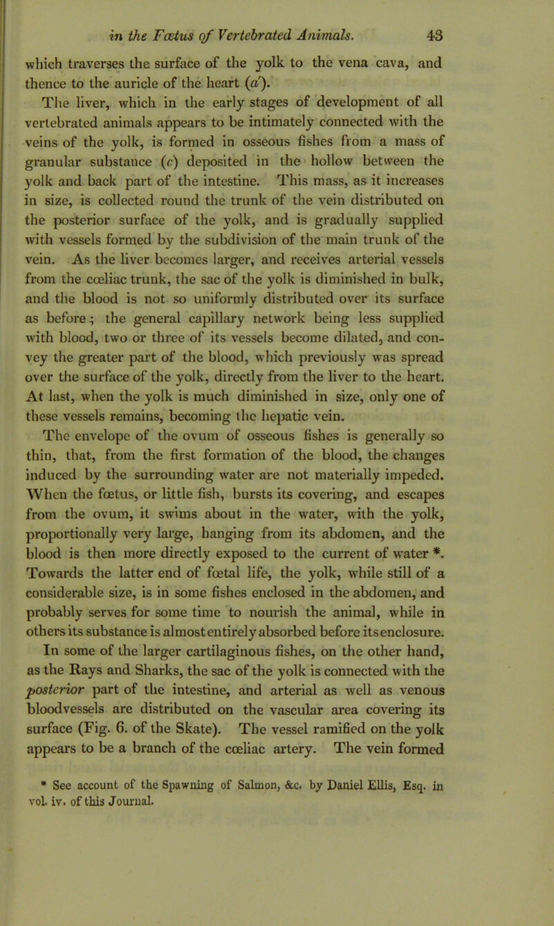 which traverses the surface of the yolk, to the vena cava, and thence to the auricle of the heart (a). The liver, which in the early stages of development of all vertebrated animals appears to be intimately connected with the veins of the yolk, is formed in osseous fishes from a mass of granular substance (c) deposited in the hollow between the yolk and back part of the intestine. This mass, as it increases in size, is collected round the trunk of the vein distributed on the posterior surface of the yolk, and is gradually supplied with vessels formed by the subdivision of the main trunk of the vein. As the liver becomes larger, and receives arterial vessels from the cocliac trunk, the sac of the yolk is diminished in bulk, and the blood is not so uniformly distributed over its surface as before; the general capillary network being less supplied with blood, two or three of its vessels become dilated, and con- vey the greater part of the blood, which previously was spread over the surface of the yolk, directly from the liver to the heart. At last, when the yolk is much diminished in size, only one of these vessels remains, becoming the hepatic vein. The envelope of the ovum of osseous fishes is generally so thin, that, from the first formation of the blood, the changes induced by the surrounding water are not materially impeded. When the foetus, or little fish, bursts its covering, and escapes from the ovum, it swims about in the water, with the yolk, proportionally very large, hanging from its abdomen, and the blood is then more directly exposed to the current of water *. Towards the latter end of foetal life, the yolk, while still of a considerable size, is in some fishes enclosed in the abdomen, and probably serves for some time to nourish the animal, while in others its substance is almost entirely absorbed before itsenclosure. In some of the larger cartilaginous fishes, on the other hand, as the Rays and Sharks, the sac of the yolk is connected with the posterior part of the intestine, and arterial as well as venous bloodvessels are distributed on the vascular area covering its surface (Fig. 6. of the Skate). The vessel ramified on the yolk appears to be a branch of the cceliac artery. The vein formed • See account of the Spawning of Salmon, &c. by Daniel Ellis, Esq. in voL iv. of this Journal.