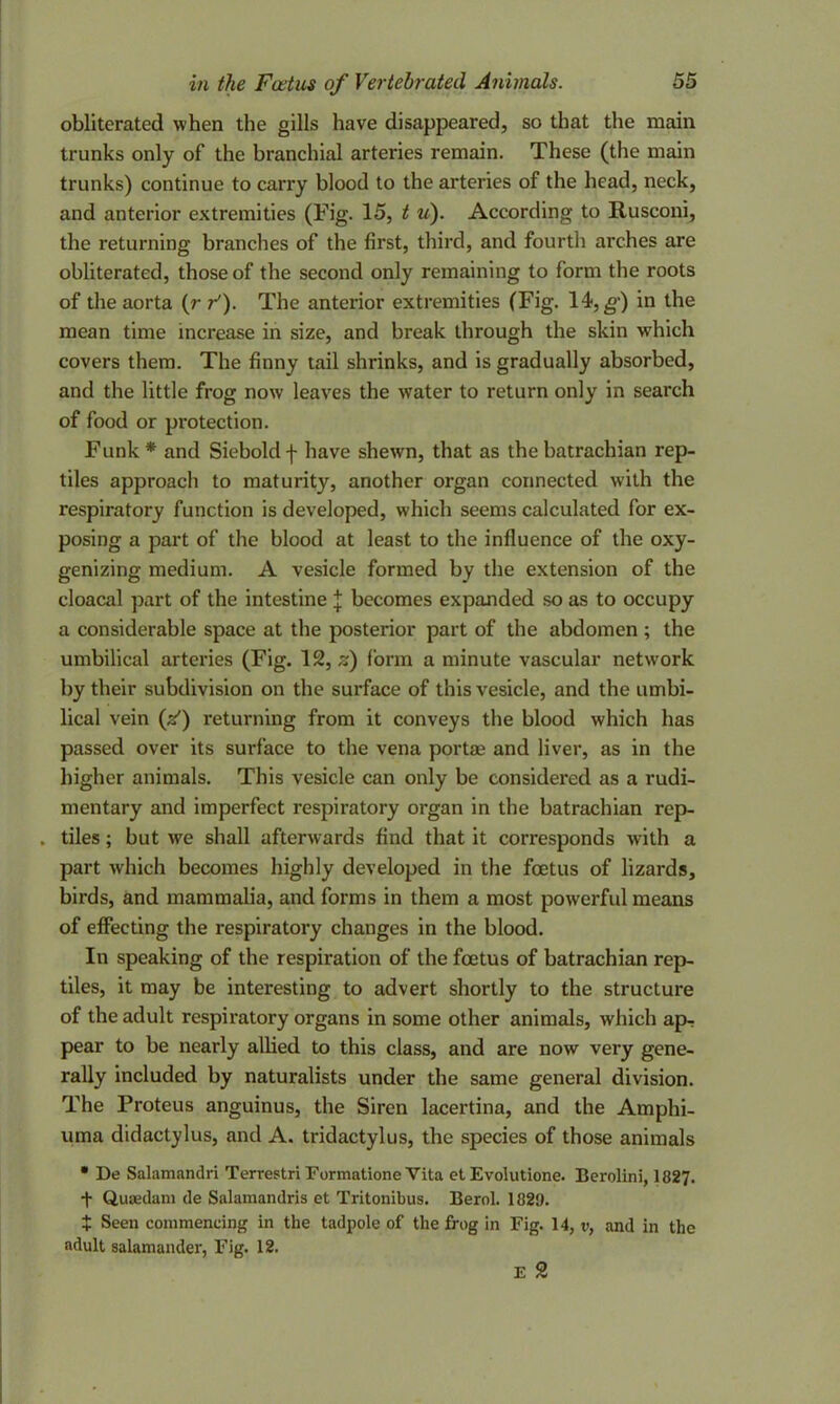 obliterated when the gills have disappeared, so that the main trunks only of the branchial arteries remain. These (the main trunks) continue to carry blood to the arteries of the head, neck, and anterior extremities (Fig. 15, t u). According to Rusconi, the returning branches of the first, third, and fourth arches are obliterated, those of the second only remaining to form the roots of the aorta (r f). The anterior extremities (Fig. 14, g) in the mean time increase in size, and break through the skin which covers them. The finny tail shrinks, and is gradually absorbed, and the little frog now leaves the water to return only in search of food or protection. Funk * and Siebold f have shewn, that as the batrachian rep- tiles approach to maturity, another organ connected with the respiratory function is developed, which seems calculated for ex- posing a part of the blood at least to the influence of the oxy- genizing medium. A vesicle formed by the extension of the cloacal part of the intestine J becomes expanded so as to occupy a considerable space at the posterior part of the abdomen ; the umbilical arteries (Fig. 12, z) form a minute vascular network by their subdivision on the surface of this vesicle, and the umbi- lical vein (V) returning from it conveys the blood which has passed over its surface to the vena portae and liver, as in the higher animals. This vesicle can only be considered as a rudi- mentary and imperfect respiratory organ in the batrachian rep- . tiles; but we shall afterwards find that it corresponds with a part which becomes highly developed in the foetus of lizards, birds, and mammalia, and forms in them a most powerful means of effecting the respiratory changes in the blood. In speaking of the respiration of the foetus of batrachian rep- tiles, it may be interesting to advert shortly to the structure of the adult respiratory organs in some other animals, which ap- pear to be nearly allied to this class, and are now very gene- rally included by naturalists under the same general division. The Proteus anguinus, the Siren lacertina, and the Amphi- uma didactylus, and A. tridactylus, the species of those animals • De Salamandri Terrestri Formatione Vita et Evolutione. Berolini, 1827. + Quaedam de Salamandris et Tritonibus. Berol. 1829. £ Seen commencing in the tadpole of the frog in Fig. 14, v, and in the adult salamander, Fig. 12. E 2