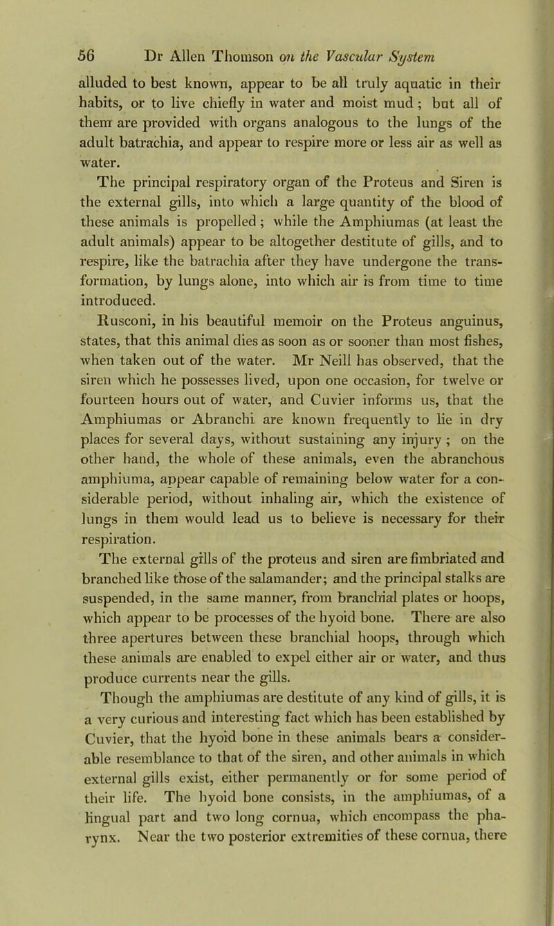 alluded to best known, appear to be all truly aquatic in their habits, or to live chiefly in water and moist mud ; but all of them are provided with organs analogous to the lungs of the adult batrachia, and appear to respire more or less air as well as water. The principal respiratory organ of the Proteus and Siren is the external gills, into which a large quantity of the blood of these animals is propelled ; while the Amphiumas (at least the adult animals) appear to be altogether destitute of gills, and to respire, like the batrachia after they have undergone the trans- formation, by lungs alone, into which air is from time to time introduced. Rusconi, in his beautiful memoir on the Proteus anguinus, states, that this animal dies as soon as or sooner than most fishes, when taken out of the water. Mr Neill has observed, that the siren which he possesses lived, upon one occasion, for twelve or fourteen hours out of water, and Cuvier informs us, that the Amphiumas or A branch i are known frequently to lie in dry places for several days, without sustaining any injury ; on the other hand, the whole of these animals, even the abranchous amphiuma, appear capable of remaining below water for a con- siderable period, without inhaling air, which the existence of lungs in them would lead us to believe is necessary for their respiration. The external gills of the proteus and siren are fimbriated and branched like those of the salamander; and the principal stalks are suspended, in the same manner, from branchial plates or hoops, which appear to be processes of the hyoid bone. There are also three apertures between these branchial hoops, through which these animals are enabled to expel either air or water, and thus produce currents near the gills. Though the amphiumas are destitute of any kind of gills, it is a very curious and interesting fact which has been established by Cuvier, that the hyoid bone in these animals bears a consider- able resemblance to that of the siren, and other animals in which external gills exist, either permanently or for some period of their life. The hyoid bone consists, in the amphiumas, of a lingual part and two long cornua, which encompass the pha- rynx. Near the two posterior extremities of these cornua, there