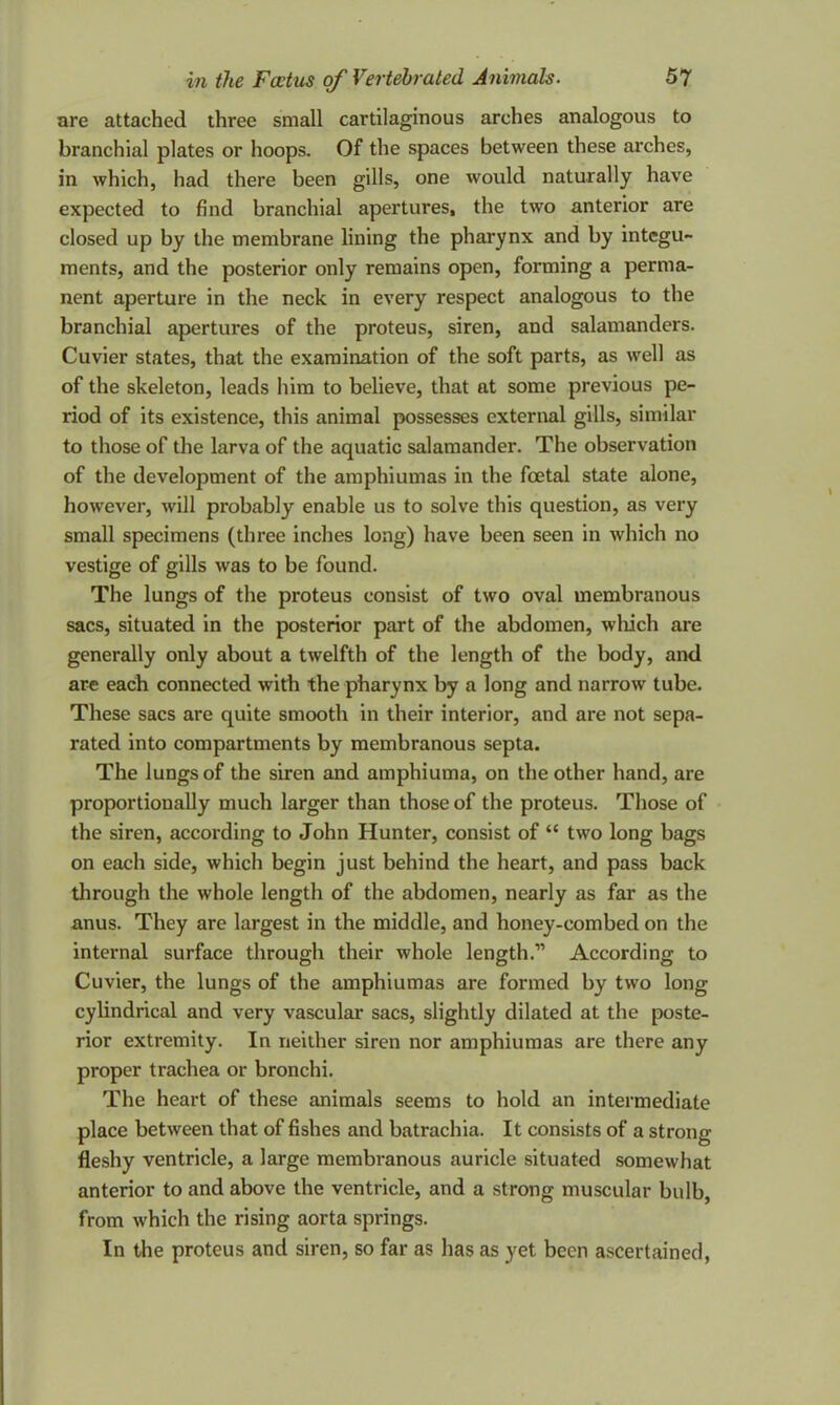 are attached three small cartilaginous arches analogous to branchial plates or hoops. Of the spaces between these arches, in which, had there been gills, one would naturally have expected to find branchial apertures, the two anterior are closed up by the membrane lining the pharynx and by integu- ments, and the posterior only remains open, forming a perma- nent aperture in the neck in every respect analogous to the branchial apertures of the proteus, siren, and salamanders. Cuvier states, that the examination of the soft parts, as well as of the skeleton, leads him to believe, that at some previous pe- riod of its existence, this animal possesses external gills, similar to those of the larva of the aquatic salamander. The observation of the development of the amphiumas in the foetal state alone, however, will probably enable us to solve this question, as very small specimens (three inches long) have been seen in which no vestige of gills was to be found. The lungs of the proteus consist of two oval membranous sacs, situated in the posterior part of the abdomen, which are generally only about a twelfth of the length of the body, and are each connected with the pharynx by a long and narrow tube. These sacs are quite smooth in their interior, and are not sepa- rated into compartments by membranous septa. The lungs of the siren and amphiuma, on the other hand, are proportionally much larger than those of the proteus. Those of the siren, according to John Hunter, consist of “ two long bags on each side, which begin just behind the heart, and pass back through the whole length of the abdomen, nearly as far as the anus. They are largest in the middle, and honey-combed on the internal surface through their whole length.'” According to Cuvier, the lungs of the amphiumas are formed by two long cylindrical and very vascular* sacs, slightly dilated at the poste- rior extremity. In neither siren nor amphiumas are there any proper trachea or bronchi. The heart of these animals seems to hold an intermediate place between that of fishes and batrachia. It consists of a strong fleshy ventricle, a large membranous auricle situated somewhat anterior to and above the ventricle, and a strong muscular bulb, from which the rising aorta springs. In the proteus and siren, so far as has as yet been ascertained,