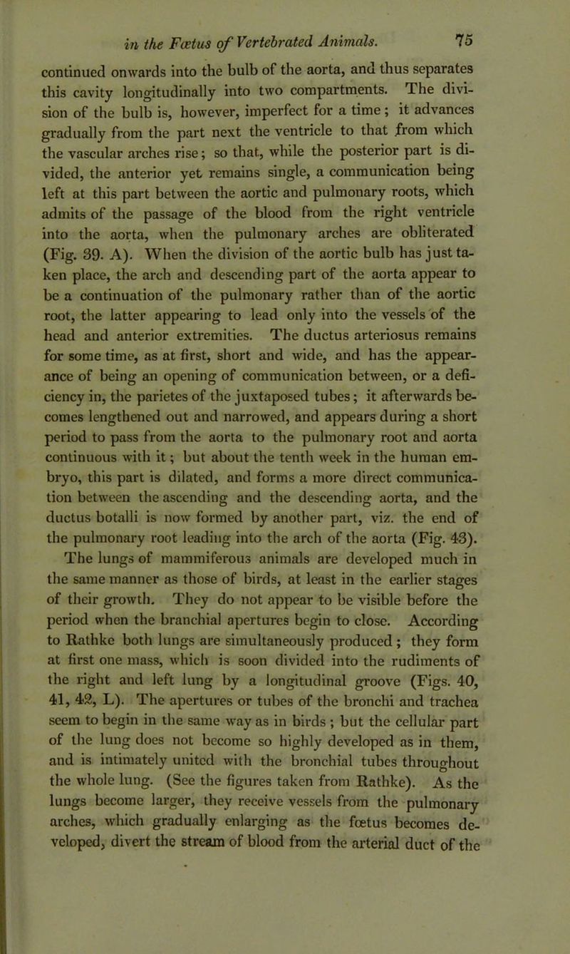 continued onwards into the bulb of the aorta, and thus separates this cavity longitudinally into two compartments. The divi- sion of the bulb is, however, imperfect for a time; it advances gradually from the part next the ventricle to that from which the vascular arches rise; so that, while the posterior part is di- vided, the anterior yet remains single, a communication being left at this part between the aortic and pulmonary roots, which admits of the passage of the blood from the right ventricle into the aorta, when the pulmonary arches are obliterated (Fig. 39- A). When the division of the aortic bulb has just ta- ken place, the arch and descending part of the aorta appear to be a continuation of the pulmonary rather than of the aortic root, the latter appearing to lead only into the vessels of the head and anterior extremities. The ductus arteriosus remains for some time, as at first, short and wide, and has the appear- ance of being an opening of communication between, or a defi- ciency in, the parietes of the juxtaposed tubes; it afterwards be- comes lengthened out and narrowed, and appears during a short period to pass from the aorta to the pulmonary root and aorta continuous with it; but about the tenth week in the human em- bryo, this part is dilated, and forms a more direct communica- tion between the ascending and the descending aorta, and the ductus botalli is now formed by another part, viz. the end of the pulmonary root leading into the arch of the aorta (Fig. 43). The lungs of mammiferous animals are developed much in the same manner as those of birds, at least in the earlier stages of their growth. They do not appear to be visible before the period when the branchial apertures begin to close. According to Rathke both lungs are simultaneously produced ; they form at first one mass, which is soon divided into the rudiments of the right and left lung by a longitudinal groove (Figs. 40, 41, 42, L). The apertures or tubes of the bronchi and trachea seem to begin in the same way as in birds ; but the cellular part of the lung does not become so highly developed as in them, and is intimately united with the bronchial tubes throughout the whole lung. (See the figures taken from Rathke). As the lungs become larger, they receive vessels from the pulmonary arches, which gradually enlarging as the foetus becomes de- veloped, divert the stream of blood from the arterial duct of the