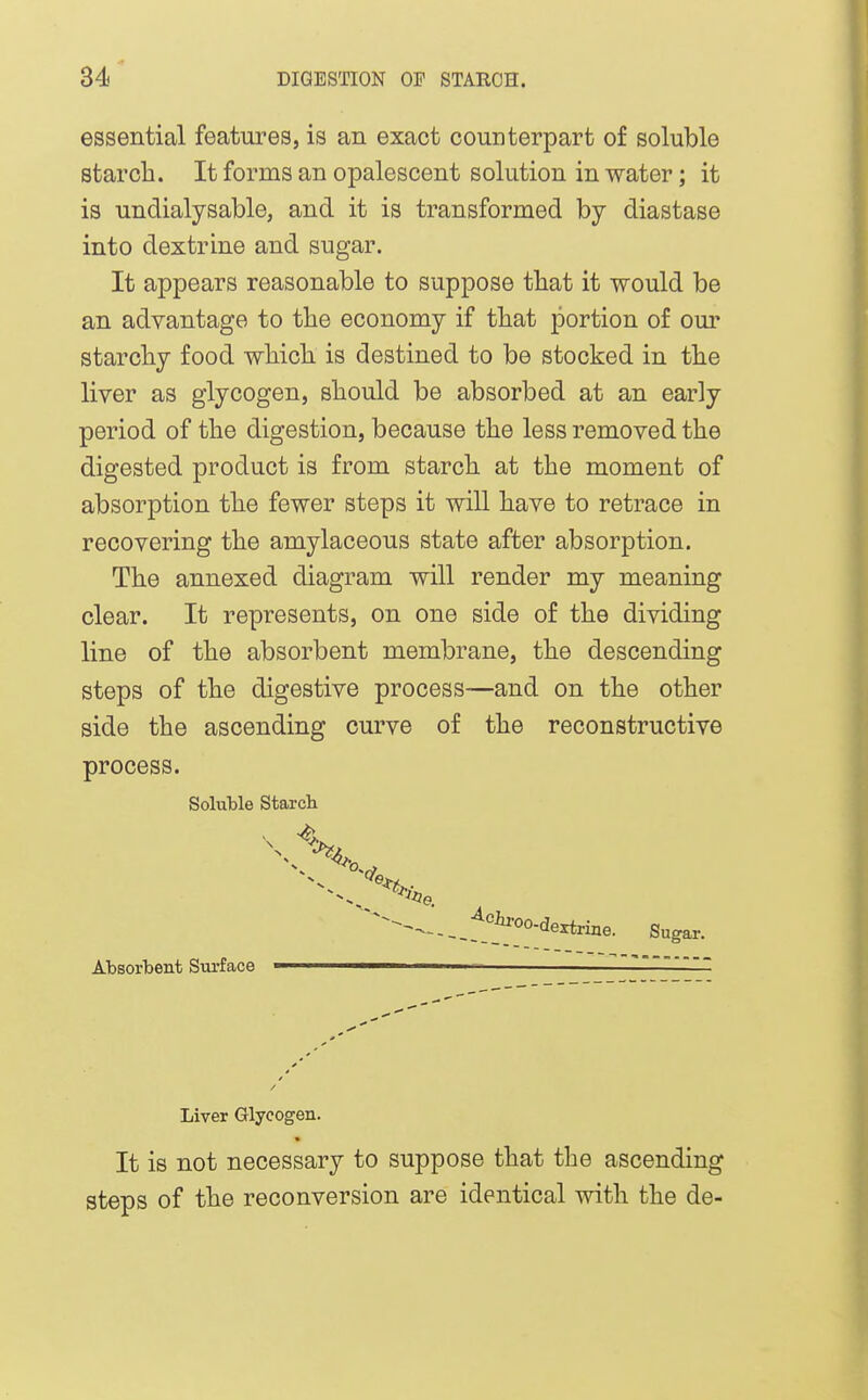 essential features, is an exact counterpart of soluble starch. It forms an opalescent solution in water; it is undialysable, and it is transformed by diastase into dextrine and sugar. It appears reasonable to suppose that it would be an advantage to the economy if that portion of our starchy food which is destined to be stocked in the liver as glycogen, should be absorbed at an early period of the digestion, because the less removed the digested product is from starch at the moment of absorption the fewer steps it will have to retrace in recovering the amylaceous state after absorption. The annexed diagram will render my meaning clear. It represents, on one side of the dividing line of the absorbent membrane, the descending steps of the digestive process—and on the other side the ascending curve of the reconstructive process. Soluble starch ^'^ij-oo-dextrine. Sugar. Absorbent Sm-face ' Liver Glycogen. It is not necessary to suppose that the ascending steps of the reconversion are identical with the de-