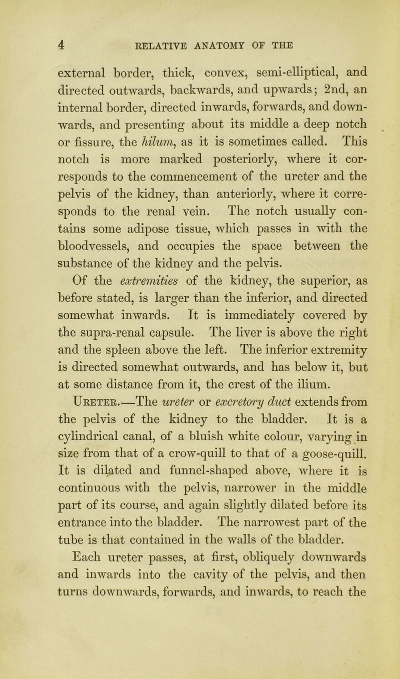external border, thick, convex, semi-elliptical, and directed outwards, backwards, and upwards; 2nd, an internal border, directed inwards, forwards, and down- wards, and presenting about its middle a deep notch or fissure, the hilum^ as it is sometimes called. This notch is more marked posteriorly, where it cor- responds to the commencement of the ureter and the pelvis of the kidney, than anteriorly, where it corre- sponds to the renal vein. The notch usually con- tains some adipose tissue, which passes in with the bloodvessels, and occupies the space between the substance of the kidney and the pelvis. Of the extremities of the kidney, the superior, as before stated, is larger than the inferior, and directed somewhat inwards. It is immediately covered by the supra-renal capsule. The liver is above the right and the spleen above the left. The inferior extremity is directed somewhat outwards, and has below it, but at some distance from it, the crest of the ilium. Ureter.—The ureter or excretory duct extends from the pelvis of the kidney to the bladder. It is a cylindrical canal, of a bluish white colour, varying in size from that of a crow-quill to that of a goose-quill. It is dilated and funnel-shaped above, where it is continuous with the pelvis, narrower in the middle part of its course, and again slightly dilated before its entrance into the bladder. The narrowest part of the tube is that contained in the walls of the bladder. Each ureter passes, at first, obliquely downwards and inwards into the cavity of the pelvis, and then turns downwards, forwards, and inwards, to reach the