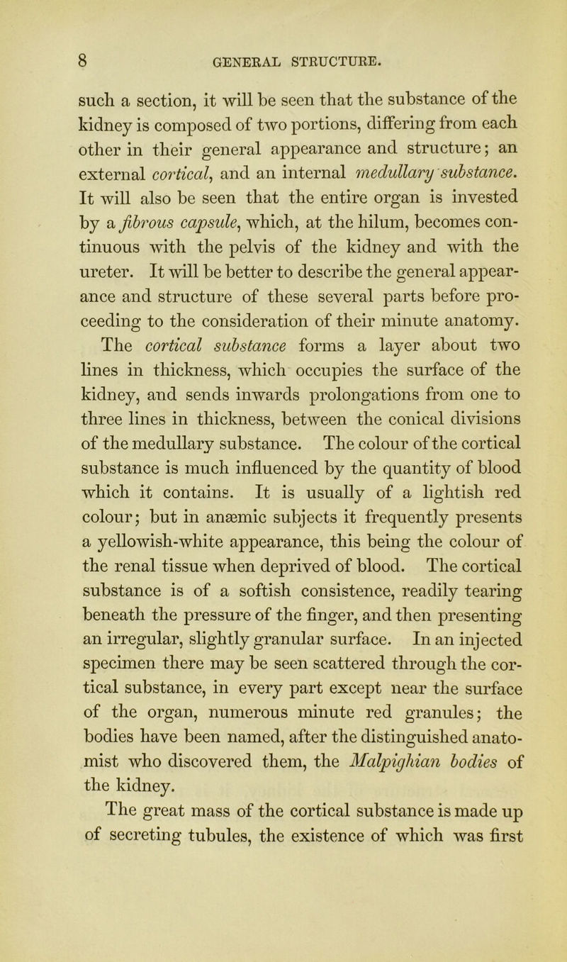 such a section, it will be seen that the substance of the kidney is composed of two portions, differing from each other in their general appearance and structure; an external cortical^ and an internal medullary suhstance. It will also be seen that the entire organ is invested by a fibrous capsule,, which, at the hilum, becomes con- tinuous with the pelvis of the kidney and with the ureter. It will be better to describe the general appear- ance and structure of these several parts before pro- ceeding to the consideration of their minute anatomy. The cortical substance forms a layer about two lines in thickness, which occupies the surface of the kidney, and sends inwards prolongations from one to three lines in thickness, between the conical divisions of the medullary substance. The colour of the cortical substance is much influenced by the quantity of blood which it contains. It is usually of a lightish red colour; but in anaemic subjects it frequently presents a yellowish-white appearance, this being the colour of the renal tissue when deprived of blood. The cortical substance is of a softish consistence, readily tearing beneath the pressure of the finger, and then presenting an irregular, slightly granular surface. In an injected specimen there may be seen scattered through the cor- tical substance, in every part except near the surface of the organ, numerous minute red granules; the bodies have been named, after the distinguished anato- mist who discovered them, the Malpighian bodies of the kidney. The great mass of the cortical substance is made up of secreting tubules, the existence of which was first