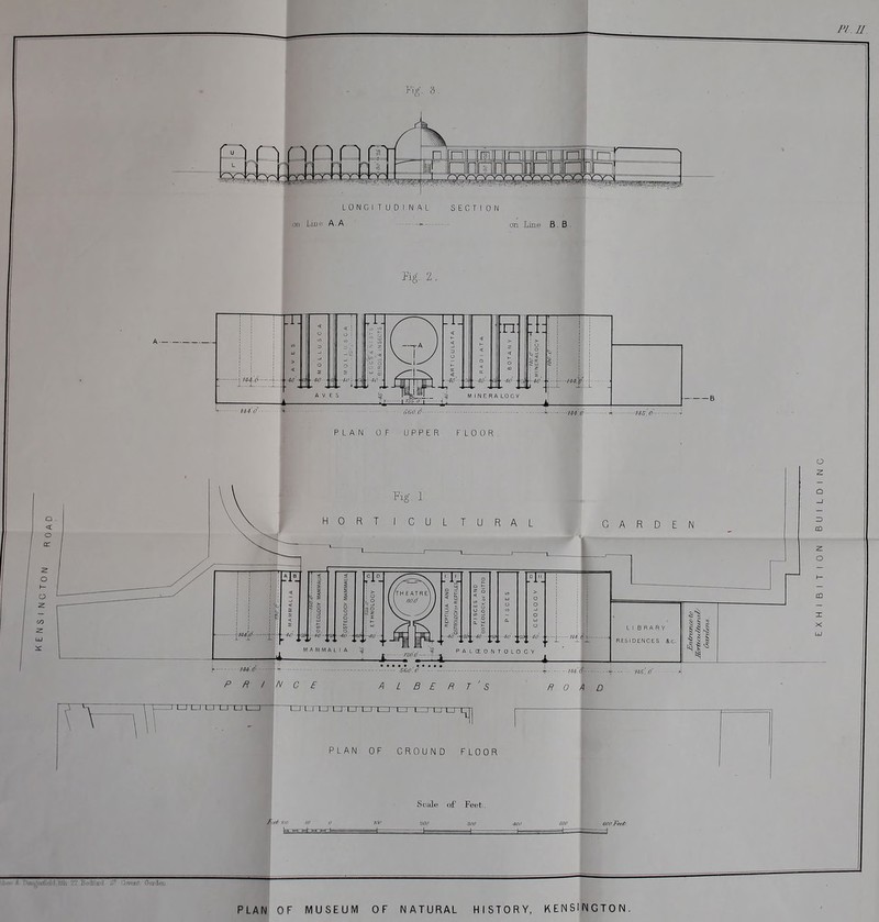 LONGITUDINAL SECTION. jH A.A * on Line B. B . Pig. 2, i TI A V E S Tl ra :j MINERALOCV ..«.•• (' PLAN OF UPPER FLOOR i GARDEN aJ^b 1ALIA < C 1 D T < < i 2 ft 1 1 £ ; o o ; > ■ o is < 1 o o ' o, i o MAMMALIA ^ m.p ■ P R I o o >^ .4. AND ;£PTILE s o < u. 05 > o < g s i O w o ^ 2 - o o o . ■-... ■O ■ ■'///-■* PAL(E0NT0LOCY LI B RA R Y RESIDENCES &c. 1| LI U U I N C E □'L.rXJ LI l_j LJ I I l_l IIZT 560. V Z BE R r ' s ?■ -'I'I4(^ -• ROAD 1 PLAN OF GROUND FLOOR Soale of Feet. o 3 CD X X Sy/ II'ft SfJ PLAN OF MUSEUM OF NATURAL HISTORY, KENSINGTON.