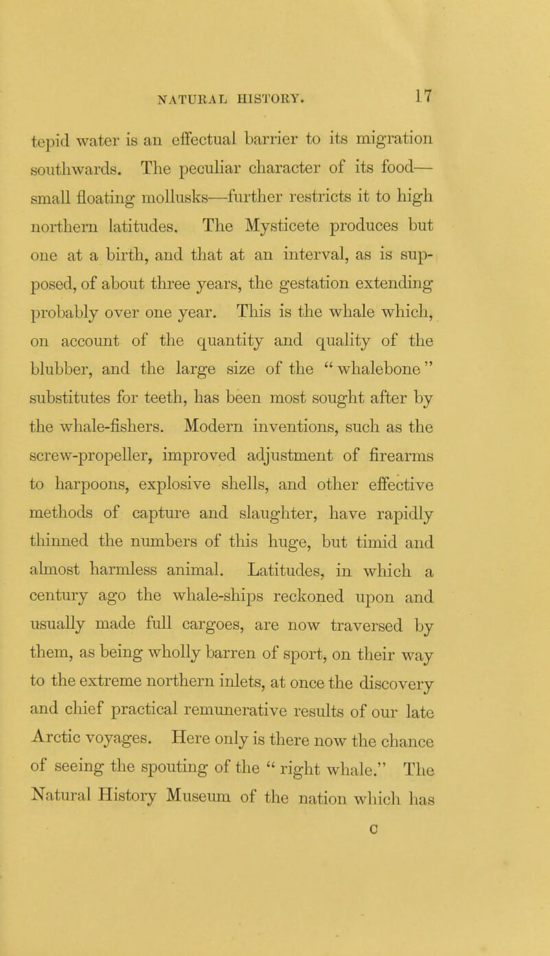 tepid water is an effectual barrier to its migration southwards. The peculiar character of its food— small floating mollusks—further restricts it to high northern latitudes. The Mysticete produces but one at a birth, and that at an interval, as is sup- posed, of about three years, the gestation extending probably over one year. This is the whale which, on account of the quantity and quality of the blubber, and the large size of the  whalebone substitutes for teeth, has been most sought after by the whale-fishers. Modern inventions, such as the screw-propeller, improved adjustment of firearms to harpoons, explosive shells, and other efiective methods of capture and slaughter, have rapidly thinned the numbers of this huge, but timid and almost harmless animal. Latitudes, in which a century ago the whale-shijos reckoned upon and usually made full cargoes, are now traversed by them, as being wholly barren of sport, on their way to the extreme northern inlets, at once the discovery and chief practical remunerative results of our late Arctic voyages. Here only is there now the chance of seeing the spouting of the  right whale. The Natural History Musemn of the nation which has c
