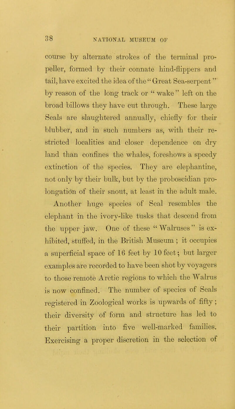 course by alternate strokes of the terminal pro- peller, formed by their connate hind-flippers and tail, have excited the idea of the  G-reat Sea-serpent by reason of the long track or  wake  left on the broad billows they have cut through. These large Seals are slaughtered annually, chiefly for their blubber, and in such numbers as, with their re- stricted localities and closer dependence on dry land than confines the whales, foreshows a speedy extinction of the species. They are elephantine, not only by their bulk, but by the proboscidian pro- longation of their snout, at least in the adult male. Another huge species of Seal resembles the elephant in the ivory-Hke tusks that descend from the upper jaw. One of these  Walruses  is ex- hibited, stuffed, in the British Museum ; it occupies a superficial space of 16 feet by 10 feet; but larger examples are recorded to have been shot by voyagers to those remote Arctic regions to which the Walrus is now confined. The number of species of Seals registered in Zoological works is upwards of fifty; their diversity of form and structure has led to their partition into five well-marked famiHes. Exercising a proper discretion in the selection of