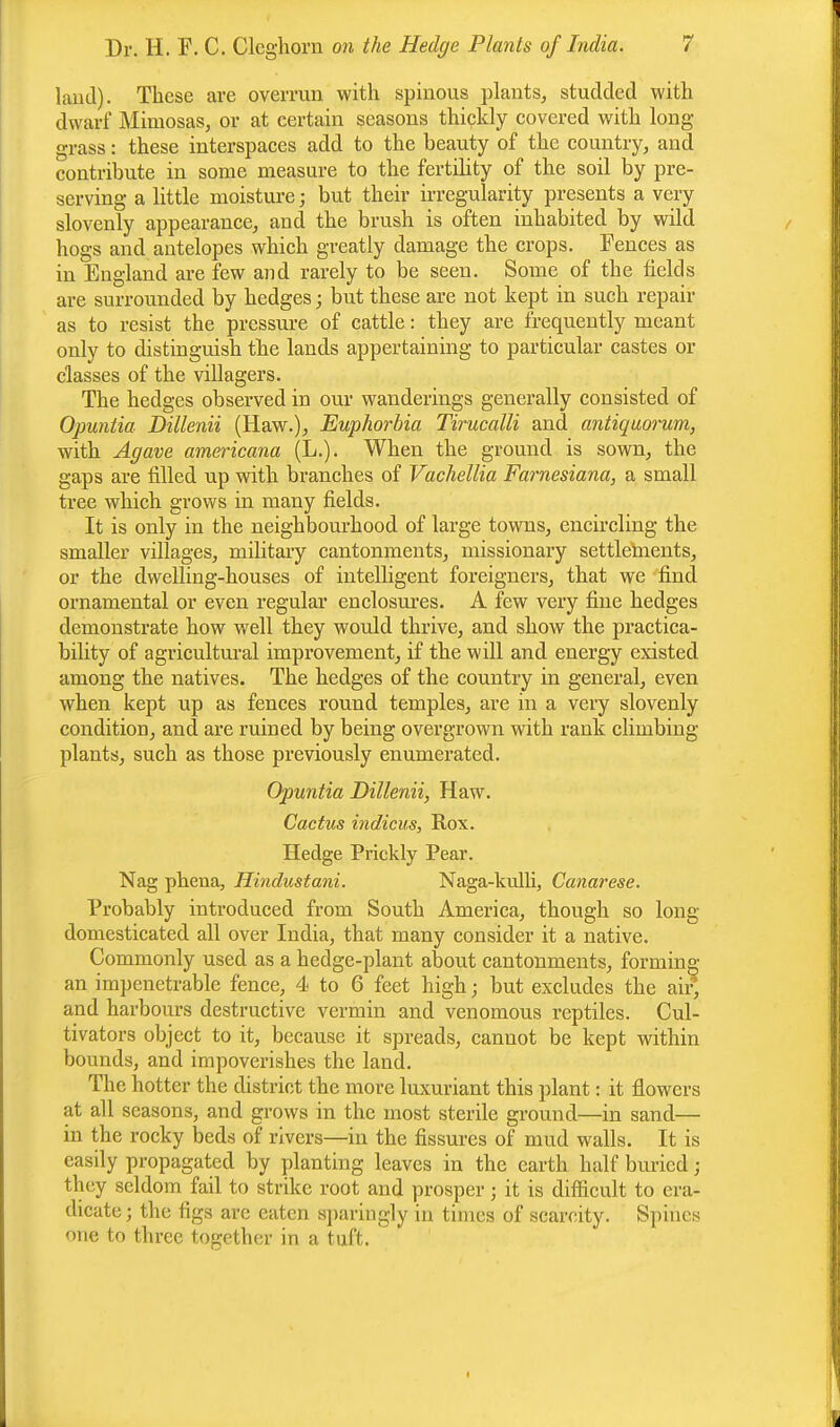 land). These are overrun with spinous plants, studded with dwarf Mimosas, or at certain seasons thickly covered with long- grass : these interspaces add to the beauty of the country, and contribute in some measure to the fertility of the soil by pre- serving a little moisture j but their irregularity presents a very slovenly appearance, and the brush is often inhabited by wild hogs and antelopes which greatly damage the crops. Fences as in England are few and rarely to be seen. Some of the fields are surrounded by hedges; but these are not kept in such repair as to resist the pressure of cattle: they are frequently meant only to distinguish the lands appertaining to particular castes or classes of the villagers. The hedges observed in our wanderings generally consisted of Opuntia Dillenii (Haw.), Euphorbia Tirucalli and antiquorum, with Agave americana (L.). When the ground is sown, the gaps are filled up with branches of Vachellia Farnesiana, a small tree which grows in many fields. It is only in the neighbourhood of large towns, encircling the smaller villages, military cantonments, missionary settlements, or the dwelling-houses of intelligent foreigners, that we find ornamental or even regular enclosures. A few very fine hedges demonstrate how well they would thrive, and show the practica- bility of agricultural improvement, if the will and energy existed among the natives. The hedges of the country in general, even when kept up as fences round temples, are in a very slovenly condition, and are ruined by being overgrown with rank climbing plants, such as those previously enumerated. Opuntia Dillenii, Haw. Cactus indicus, Rox. Hedge Prickly Pear. Nag phena, Hindustani. Naga-kulli, Canarese. Probably introduced from South America, though so long domesticated all over India, that many consider it a native. Commonly used as a hedge-plant about cantonments, forming an impenetrable fence, 4 to 6 feet high; but excludes the air, and harbours destructive vermin and venomous reptiles. Cul- tivators object to it, because it spreads, cannot be kept within bounds, and impoverishes the land. The hotter the district the more luxuriant this plant: it flowers at all seasons, and grows in the most sterile ground—in sand— in the rocky beds of rivers—in the fissures of mud walls. It is easily propagated by planting leaves in the earth half buried ; they seldom fail to strike root and prosper; it is difficult to era- dicate ; the figs are eaten sparingly in times of scarcity. Spines one to three together in a tuft.
