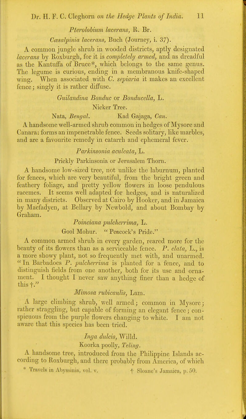 Pterolobium lacerans, R. Br. Ccesalpinia lacerans, Buch (Journey, i. 37). A common jungle shrub in wooded districts, aptly designated lacerans by Roxburgh, for it is completely armed, and as dreadful as the Kantuffa of Bruce*, which belongs to the same genus. The legume is curious, ending in a membranous knife-shaped wing. When associated with C. sepiaria it makes an excellent fence; singly it is rather diffuse. Guilandina Bonduc or Bonducella, L. Nicker Tree. Nata, Bengal. Kad Gajaga, Can. A handsome well-armed shrub common in hedges of Mysore and Canara: forms an impenetrable fence. Seeds solitary, like marbles, and are a favourite remedy in catarrh and ephemeral fever. Parkinsonia aculeata, L. Prickly Parkinsonia or Jerusalem Thorn. A handsome low-sized tree, not unlike the laburnum, planted for fences, which are very beautiful, from the bright green and feathery foliage, and pretty yellow flowers in loose pendulous racemes. It seems well adapted for hedges, and is naturalized in many districts. Observed at Cairo by Hooker, and in Jamaica by Macfadyen, at Bellary by Newbold, and about Bombay by Graham. Poinciana pulcherrima, L. Gool Mohur.  Peacock's Pride. A common armed shrub in every garden, reared more for the beauty of its flowers than as a serviceable fence. P. elata, L., is a more showy plant, not so frequently met with, and unarmed.  In Barbadoes P. pulcherrima is planted for a fence, and to distinguish fields from one another, both for its use and orna- ment. I thought I never saw anything finer than a hedc-e of thisf. Mimosa rubicaulis, Lam. A large climbing shrub, well armed; common in Mysore; rather straggling, but capable of forming an elegant fence; con- spicuous from the purple flowers changing to white. I am not aware that this species has been tried. Inga dulcis, Willd. Koorka poolly, Teling. A handsome tree, introduced from the Philippine Islands ac- cording to Roxburgh, and there probably from America, of which * Travels in Abyssinia, vol. v. f Sloane's Jamaica, p. 50.