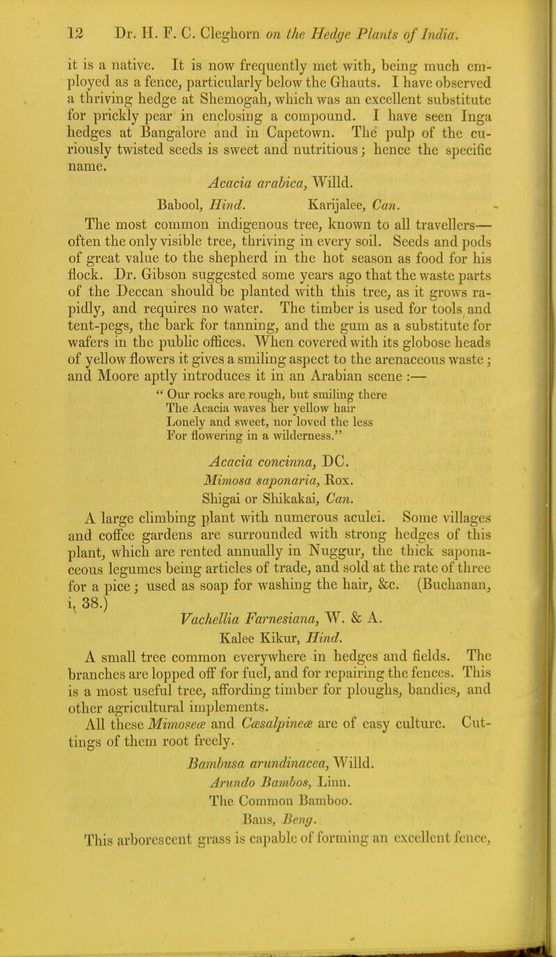 it is a native. It is now frequently met with, being much em- ployed as a fence, particularly below the Ghauts. I have observed a thriving hedge at Shemogah, which was an excellent substitute for prickly pear in enclosing a compound. I have seen Inga hedges at Bangalore and in Capetown. The pulp of the cu- riously twisted seeds is sweet and nutritious; hence the specific name. Acacia arabica, Willd. Babool, Hind. Karijalee, Can. The most common indigenous tree, known to all travellers— often the only visible tree, thriving in every soil. Seeds and pods of great value to the shepherd in the hot season as food for bis flock. Dr. Gibson suggested some years ago that the waste parts of the Deccan should be planted with this tree, as it grows ra- pidly, and requires no water. The timber is used for tools and tent-pegs, the bark for tanning, and the gum as a substitute for wafers in the public offices. When covered with its globose heads of yellow flowers it gives a smiling aspect to the arenaceous waste; and Moore aptly introduces it in an Arabian scene :—  Our rocks are rough, but smiling there The Acacia waves her yellow hair Lonely and sweet, nor loved the less For flowering in a wilderness. Acacia concinna, DC. Mimosa saponaria, Rox. Shigai or Shikakai, Can. A large climbing plant with numerous aculei. Some villages and coffee gardens are surrounded with strong hedges of this plant, which are rented annually in Nuggur, the thick sapona- ceous legumes being articles of trade, and sold at the rate of three for a pice; used as soap for washing the hair, &c. (Buchanan, i, 38.) Vachellia Farnesiana, W. & A. Kalee Kikur, Hind. A small tree common everywhere in hedges and fields. The branches are lopped off for fuel, and for repairing the fences. This is a most useful tree, affording timber for ploughs, bandies, and other agricultural implements. All these Mimosece and Cccsalpinea are of easy culture. Cut- tings of them root freely. Bambusa arundinacea, Willd. Arundo Bambos, Linn. The Common Bamboo. Bans, Beng. This arborescent grass is capable of forming an excellent fence,