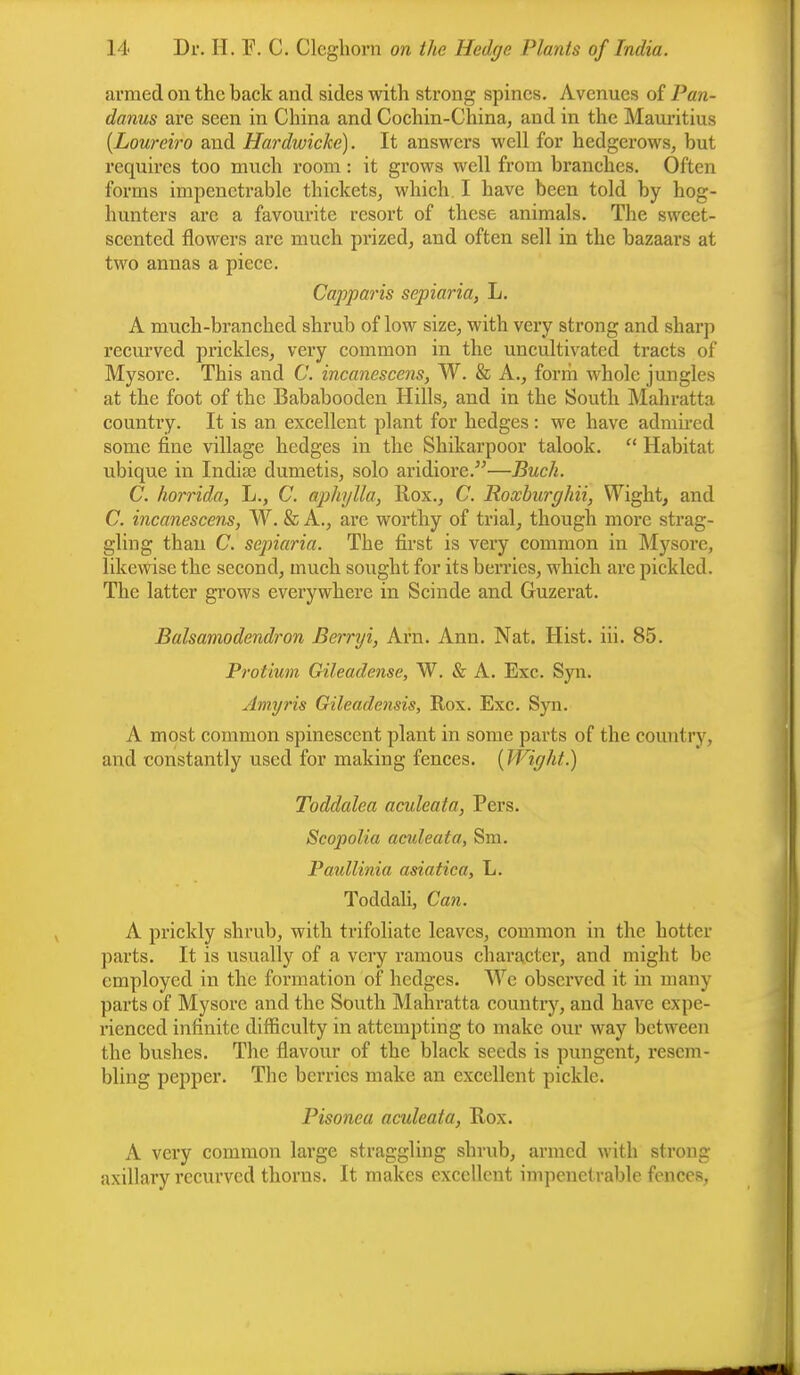 armed on the back and sides with strong spines. Avenues of Pan- danus are seen in China and Cochin-China, and in the Mauritius (Loureiro and Hardwicke). It answers well for hedgerows, but requires too much room: it grows well from branches. Often forms impenetrable thickets, which I have been told by hog- hunters are a favourite resort of these animals. The sweet- scented flowers are much prized, and often sell in the bazaars at two annas a piece. Capparis sepiaria, L. A much-branched shrub of low size, with very strong and sharp recurved prickles, very common in the uncultivated tracts of Mysore. This and C. incanescens, W. & A., form whole jungles at the foot of the Bababooden Hills, and in the South Mahratta country. It is an excellent plant for hedges : we have admired some fine village hedges in the Shikarpoor talook.  Habitat ubique in Indiae dumetis, solo aridiore.—Buch. C. horrida, L., C. aphylla, llox., C. Roxburghii, Wight, and C. incanescens, W. & A., are worthy of trial, though more strag- gling than C. sepiaria. The first is very common in Mysore, likewise the second, much sought for its berries, which are pickled. The latter grows everywhere in Scinde and Guzerat. Balsamodendron Bcrryi, Am. Ann. Nat. Hist. iii. 85. Protium Gileadense, W. & A. Exc. Syn. Amyris Gileadensis, Rox. Exc. Syn. A most common spinescent plant in some parts of the country, and constantly used for making fences. [Wight.) Toddalea aculeata, Pers. Scopolia aculeata, Sm. Paullinia asiatica, L. Toddali, Can. A prickly shrub, with trifoliate leaves, common in the kottei; parts. It is usually of a very ramous character, and might be employed in the formation of hedges. We observed it in many parts of Mysore and the South Mahratta country, and have expe- rienced infinite difficulty in attempting to make our way between the bushes. The flavour of the black seeds is pungent, resem- bling pepper. Tbe berries make an excellent pickle. Pisonea aculeata, Rox. A very common large straggling shrub, armed with strong axillary recurved thorns. It makes excellent impenetrable fences,