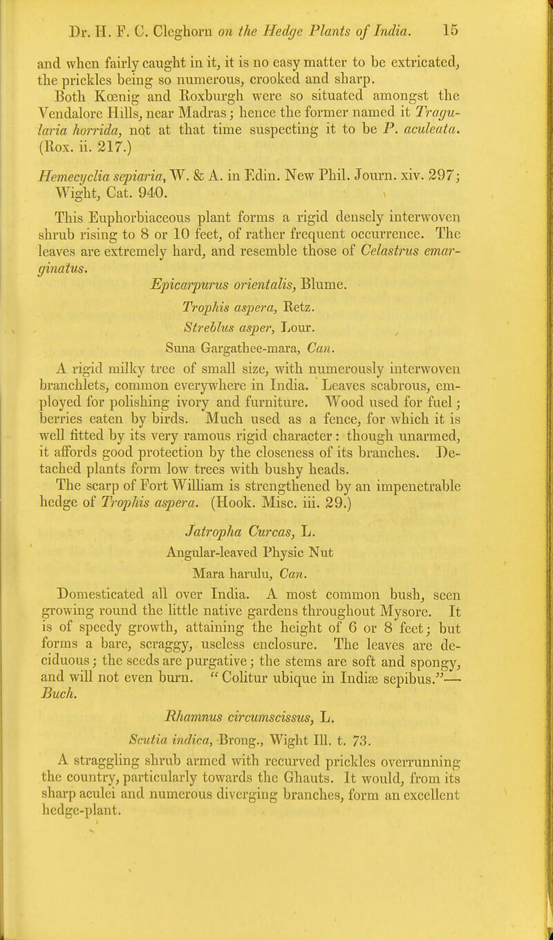 and when fairly caught in it, it is no easy matter to be extricated, the prickles being so numerous, crooked and sharp. Both Kcenig and Roxburgh were so situated amongst the Vendalore Hills, near Madras; hence the former named it Tragu- laria horrida, not at that time suspecting it to be P. aculeata. (Rox. ii. 217.) Hemecyclia sepiaria, W. & A. in Edin. New Phil. Journ. xiv. 297; Wight, Cat. 940. This Euphorbiaceous plant forms a rigid densely interwoven shrub rising to 8 or 10 feet, of rather frequent occurrence. The leaves are extremely hard, and resemble those of Celastrus emar- ginatus. Epicarpurus orientalis, Blume. Trophis aspera, Retz. Streblus asper, Lour. Suna Gargathee-mara, Can. A rigid milky tree of small size, with numerously interwoven branchlets, common everywhere in India. Leaves scabrous, em- ployed for polishing ivory and furniture. Wood used for fuel; berries eaten by birds. Much used as a fence, for which it is well fitted by its very ramous rigid character: though unarmed, it affords good protection by the closeness of its branches. De- tached plants form low trees with bushy heads. The scarp of Fort William is strengthened by an impenetrable hedge of Trophis aspei^a. (Hook. Misc. iii. 29.) Jatropha Curcas, L. Angular-leaved Physic Nut Mara harulu, Can. Domesticated all over India. A most common bush, seen growing round the little native gardens throughout Mysore. It is of speedy growth, attaining the height of 6 or 8 feet; but forms a bare, scraggy, useless enclosure. The leaves are de- ciduous ; the seeds arc purgative; the stems are soft and spongy, and will not even burn.  Colitur ubique in India? sepibus.— Buch. Rhamnus circumscissus, L. Scutia indica, Brong., Wight 111. t. 73. A straggling shrub armed with recurved prickles overrunning the country, particularly towards the Ghauts. It would, from its sharp aculei and numerous diverging branches, form an excellent hedge-plant.