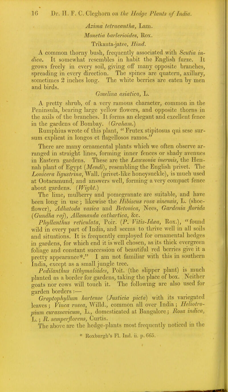 Azima tetracantha, Lam. Monetia barlerioides, Rox. Trikanta-jatee, Hind. A common thorny bush, frequently associated with Scutia in- dica. It somewhat resembles in habit the English furze. Ft grows freely in every soil, giving off many opposite branches, spreading in every direction. The spines are quatern, axillary, sometimes 2 inches long. The white berries are eaten by men and birds. Gmelina asiatica, L. A pretty shrub, of a very ramous character, common in the Peninsula, bearing large yellow flowers, and opposite thorns in the axils of the branches. It forms an elegant and excellent fence in the gardens of Bombay. (Graham.) Rumphius wrote of this plant,  Frutex stipitosus qui sese sur- sum explicat in longos et flagellosos ramos. There are many ornamental plants which we often observe ar- ranged in straight lines, forming inner fences or shady avenues in Eastern gardens. These are the Lawsonia inermis, the Hen- nah plant of Egypt (Mendi), resembling the English privet. The Lonicera ligustrina, Wall, (privet-like honeysuckle), is much used at Ootacamund, and answers well, forming a very compact fence about gardens. [Wight.) The lime, mulberry and pomegranate are suitable, and have been long in use; likewise the Hibiscus rosa sinensis, L. (shoe- flower), Adhatoda vasica and Betonica, Nees, Gardenia florida (Gundha raj), Allamanda cathartica, &c. Phyllanthus reticulata, Poir. (P. Vitis-Idcea, Rox.), found wild in every part of India, and seems to thrive well in all soils and situations. It is frequently employed for ornamental hedges in gardens, for which end it is well chosen, as its thick evergreen foliage and constant succession of beautiful red berries give it a pretty appearance*. I am not familiar with this in southern India, except as a small jungle tree. Pedilanthus tithymaloides, Poit. (the slipper plant) is much planted as a border for gardens, taking the place of box. Neither goats nor cows will touch it. The following are also used for garden borders:— Graptophyllum hortense (Justicia picta) with its variegated leaves; Vinca rosea, Willd., common all over India; Heliotro- pium curassavicum, L., domesticated at Bangalore; Rosa indica, L.; R. semperflorens, Curtis. The above arc the hedge-plants most frequently noticed in the * Roxburgh's Fl. Ind. ii. p. 665.
