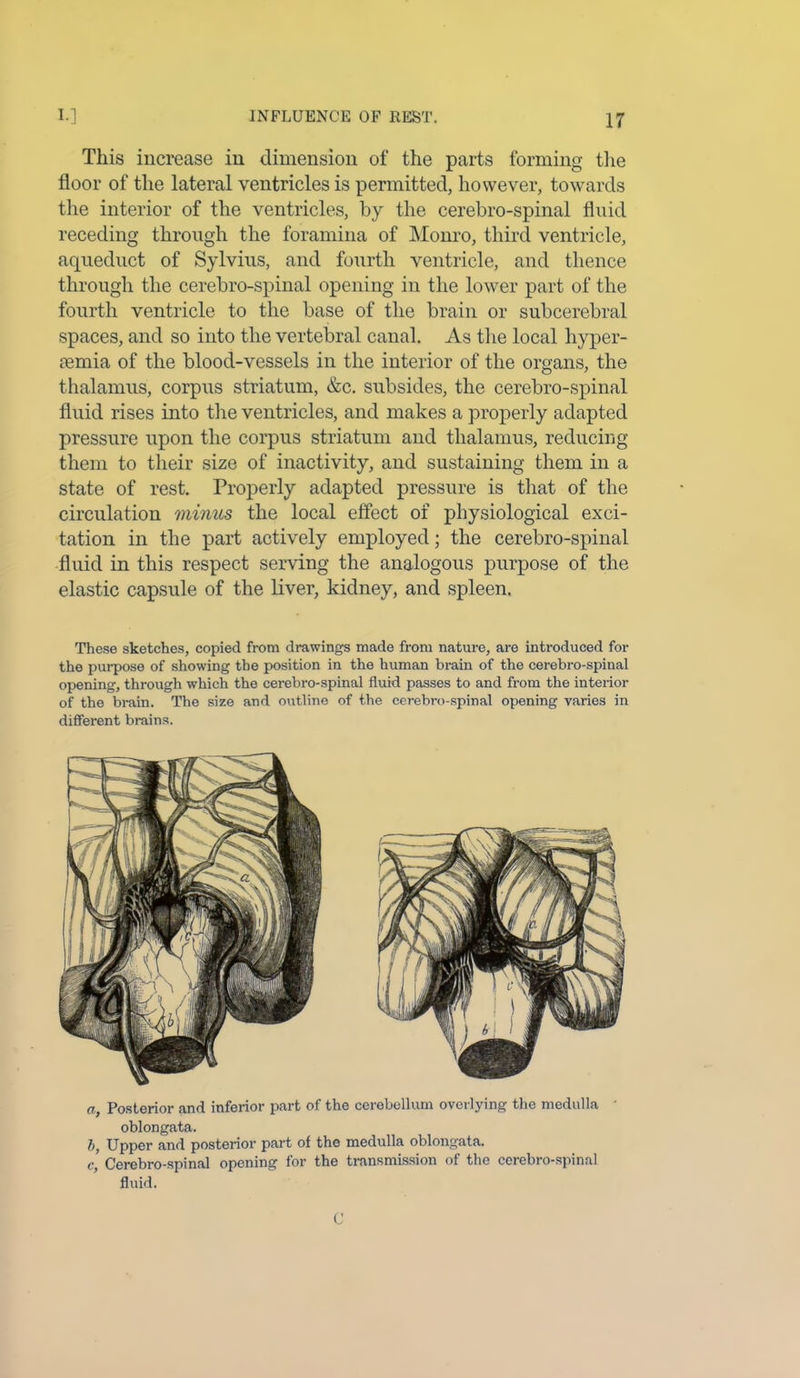 This increase in dimension of the parts forming the floor of the lateral ventricles is permitted, however, towards the interior of the ventricles, by the cerebro-spinal fluid receding through the foramina of Monro, third ventricle, aqueduct of Sylvius, and fourth ventricle, and thence through the cerebro-spinal opening in the lower part of the fourth ventricle to the base of the brain or subcerebral spaces, and so into the vertebral canal. As the local hyper- semia of the blood-vessels in the interior of the organs, the thalamus, corpus striatum, &c. subsides, the cerebro-spinal fluid rises into the ventricles, and makes a properly adapted pressure upon the corpus striatum and thalamus, reducing them to their size of inactivity, and sustaining them in a state of rest. Properly adapted pressure is that of the circulation minus the local effect of physiological exci- tation in the part actively employed; the cerebro-spinal fluid in this respect serving the analogous purpose of the elastic capsule of the liver, kidney, and spleen. These sketches, copied from drawings made from nature, are introduced for the purpose of showing the position in the human brain of the cerebro-spinal opening, through which the cerebro-spinal fluid passes to and from the interior of the brain. The size and outline of the cerebro-spinal opening varies in different brains. a, Posterior and inferior part of the cerebellum overlying the medulla oblongata. S, Upper and posterior part of the medulla oblongata. c, Cerebro-spinal opening for the transmission of the cerebro-spinal fluid. C